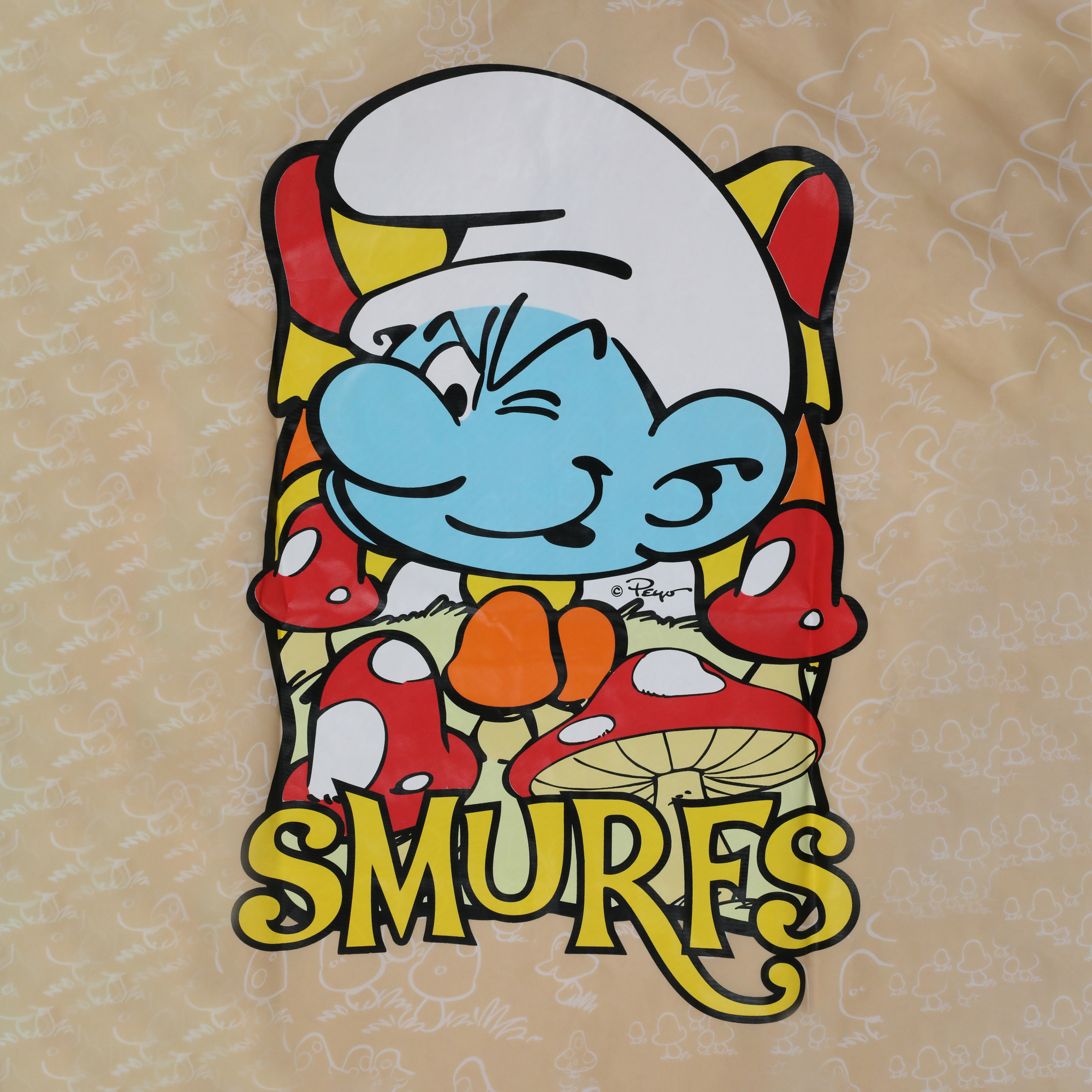 Young Mens Smurfs™ Windbreaker
