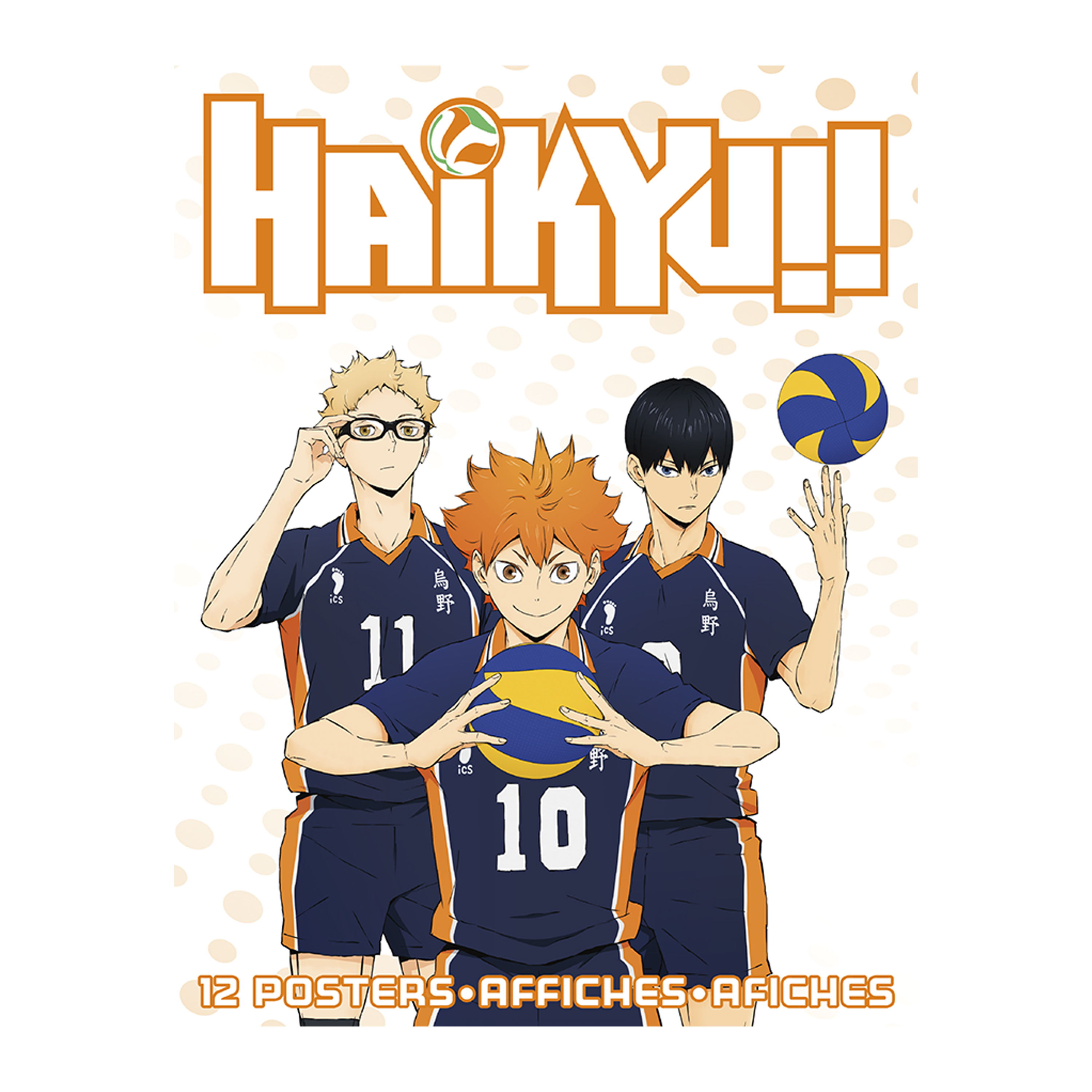 Haikyu!! Poster 22.375in x 34in