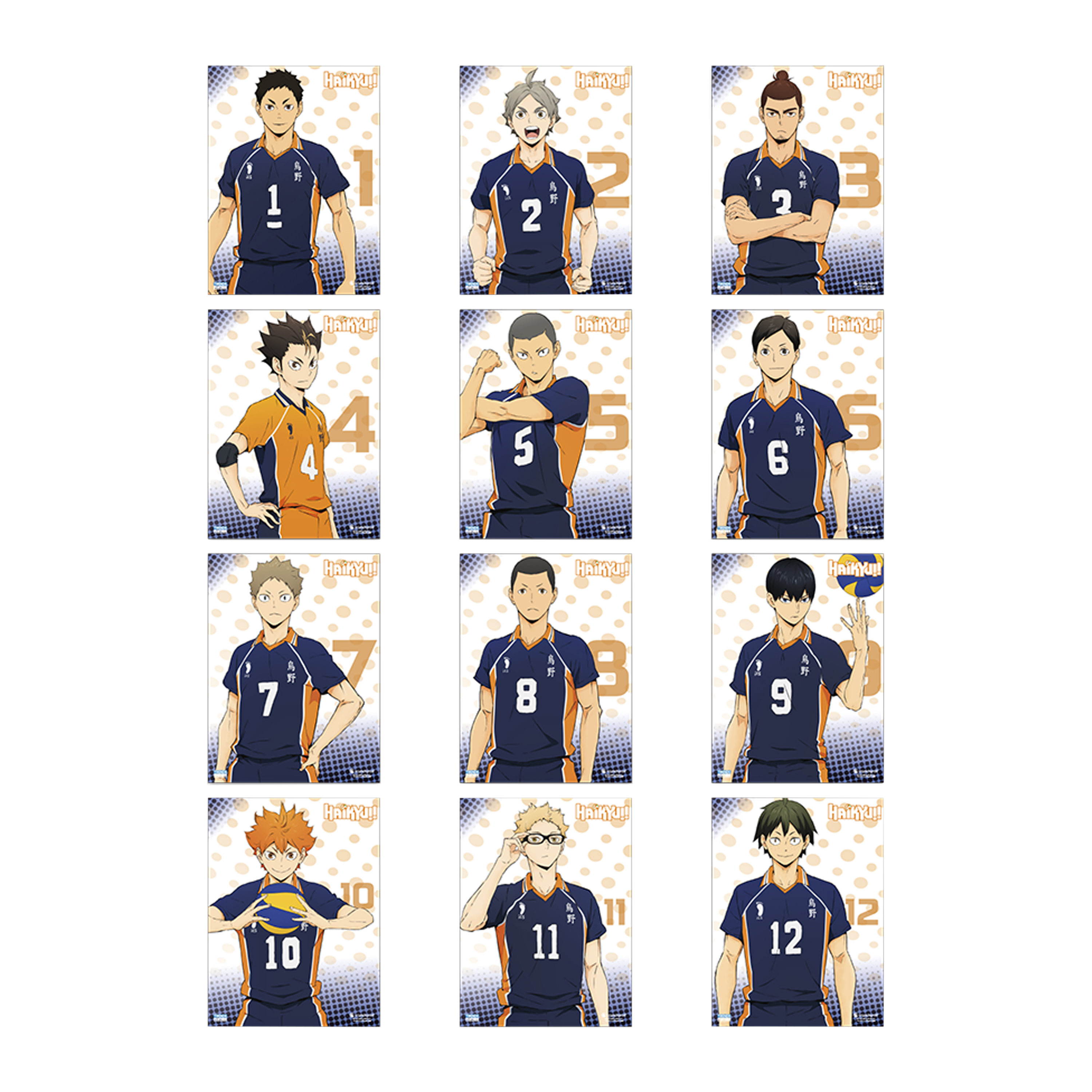 Haikyu!! Poster 22.375in x 34in