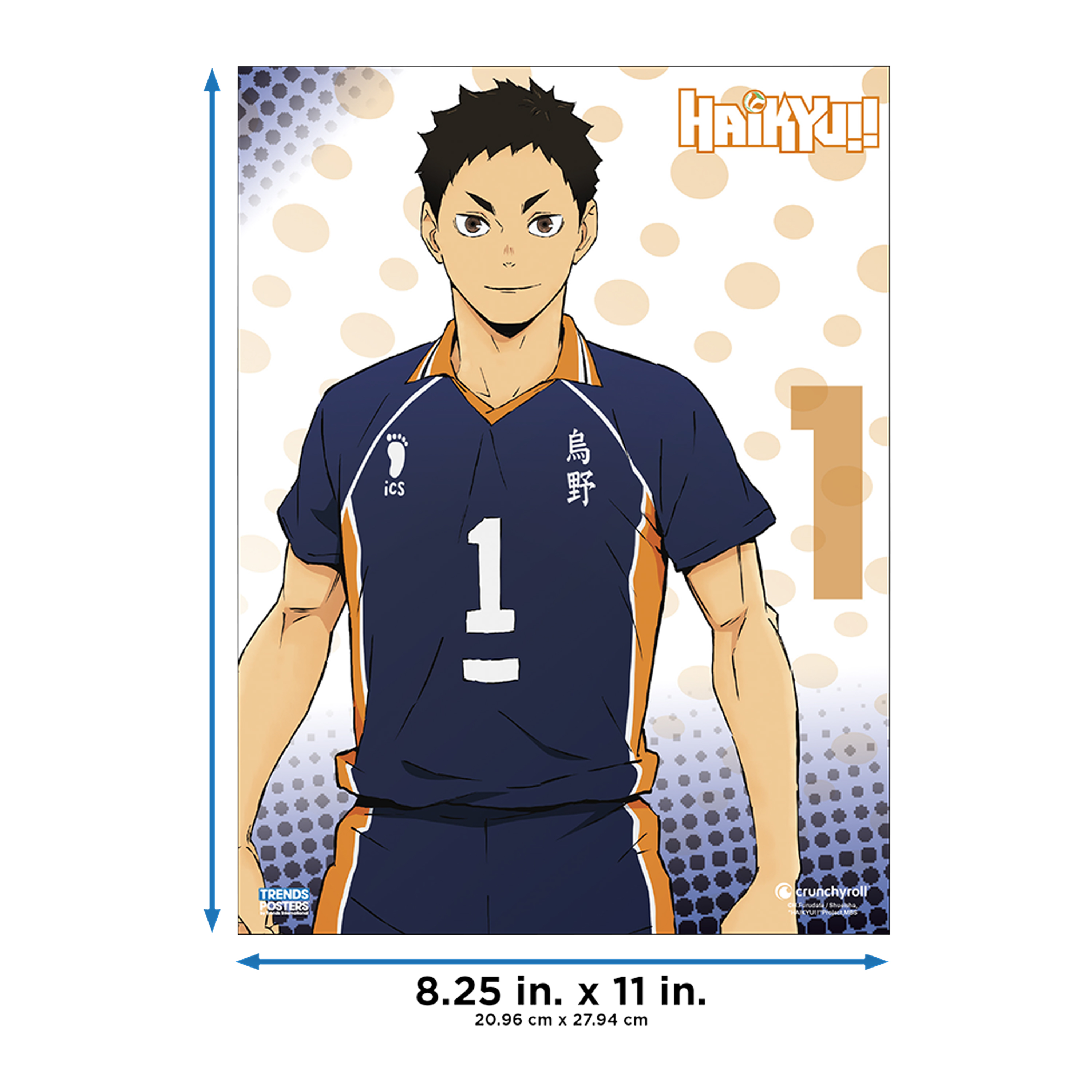 Haikyu!! Poster 22.375in x 34in