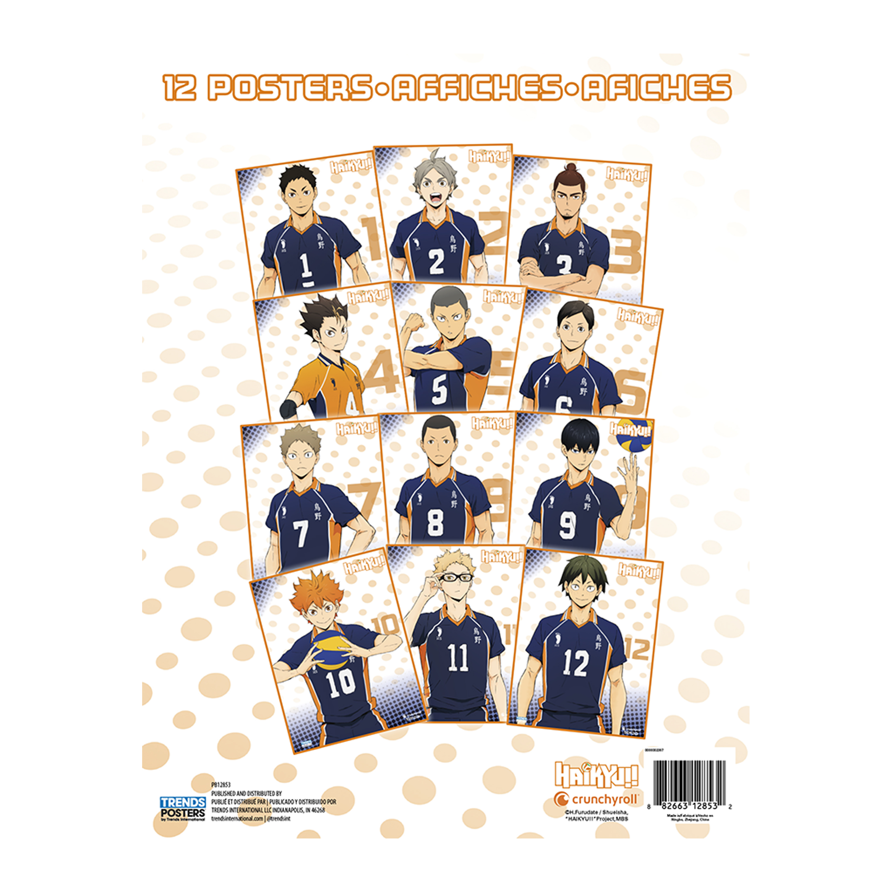 Haikyu!! Poster 22.375in x 34in