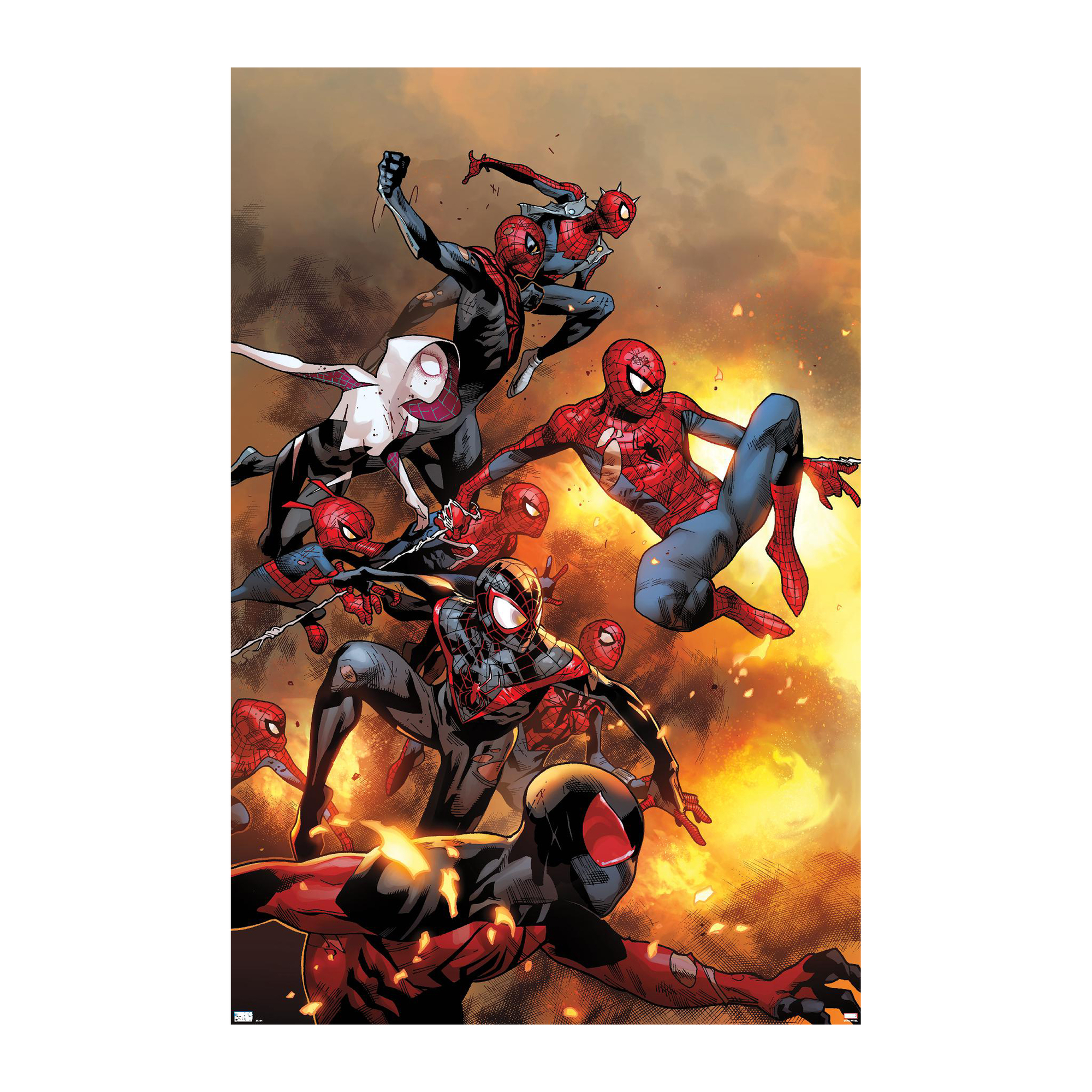 Marvel Spider-Man™ Spider-Verse Poster 22.375in x 34in