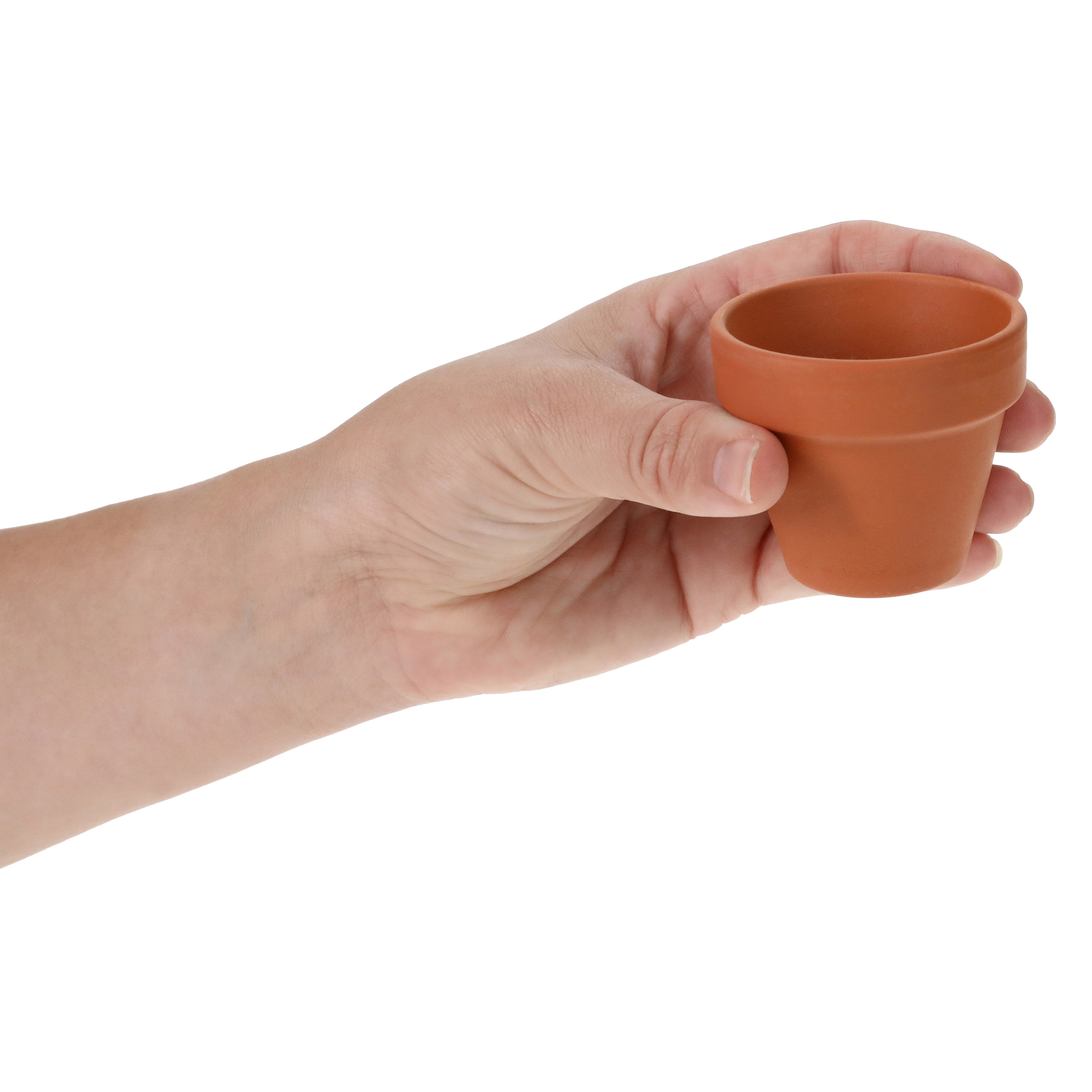Mini Potted Plant Grow Kit - Cactus