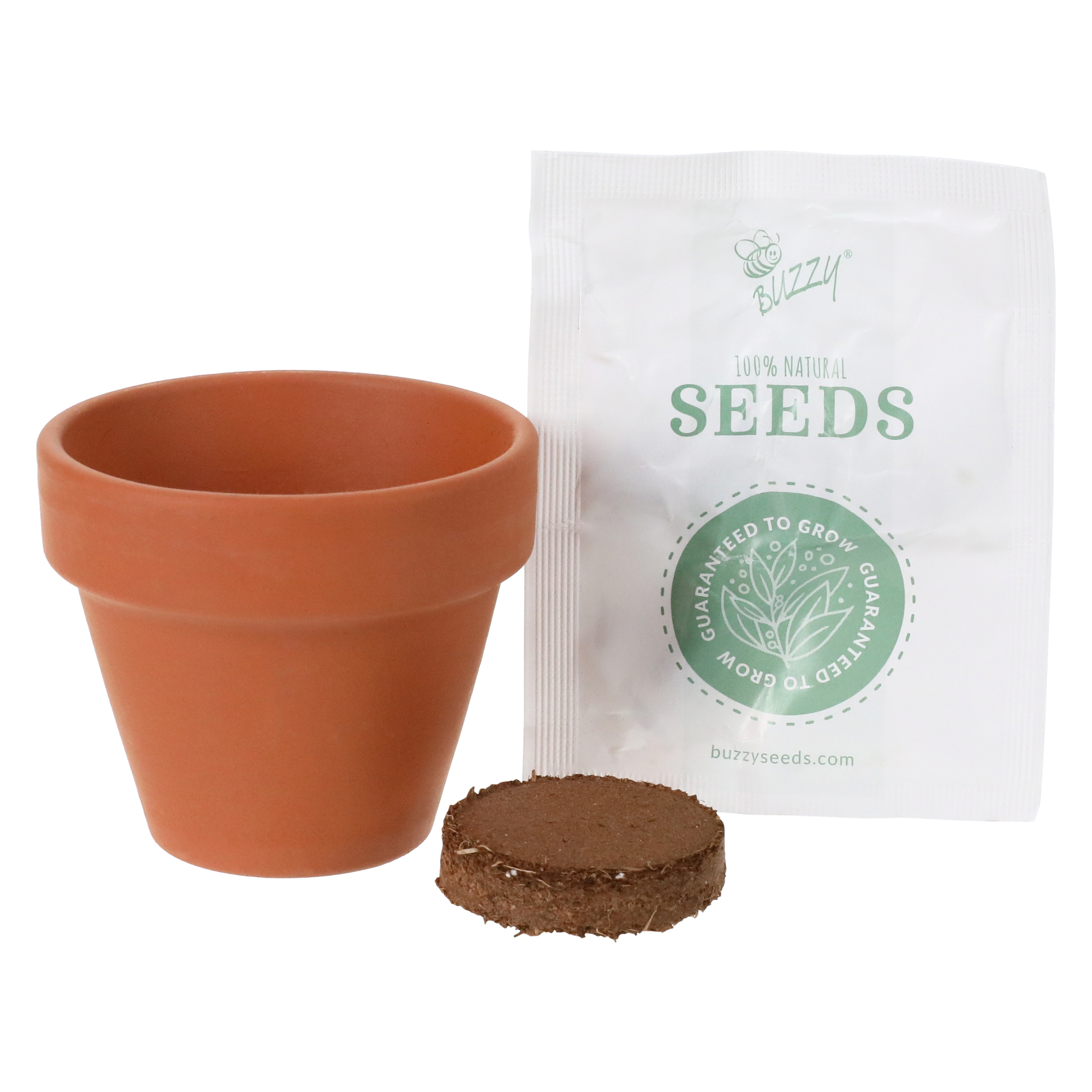 Mini Potted Plant Grow Kit - Cactus