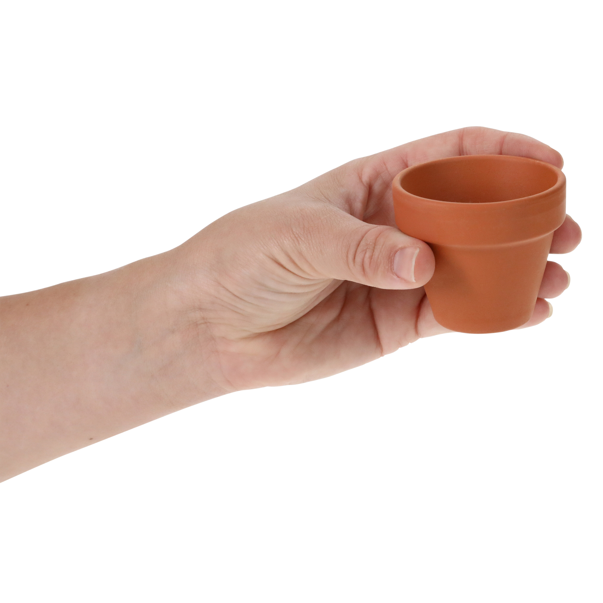 Mini Potted Plant Grow Kit
