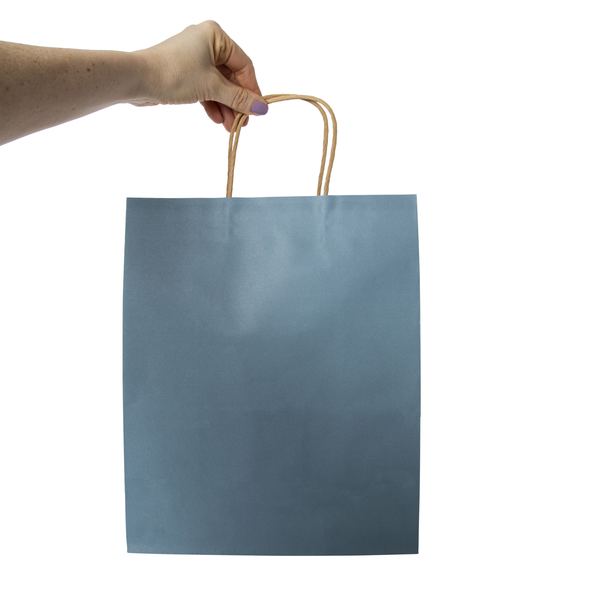 5-Count Large Kraft Gift Bags 13in x 10in - Blue