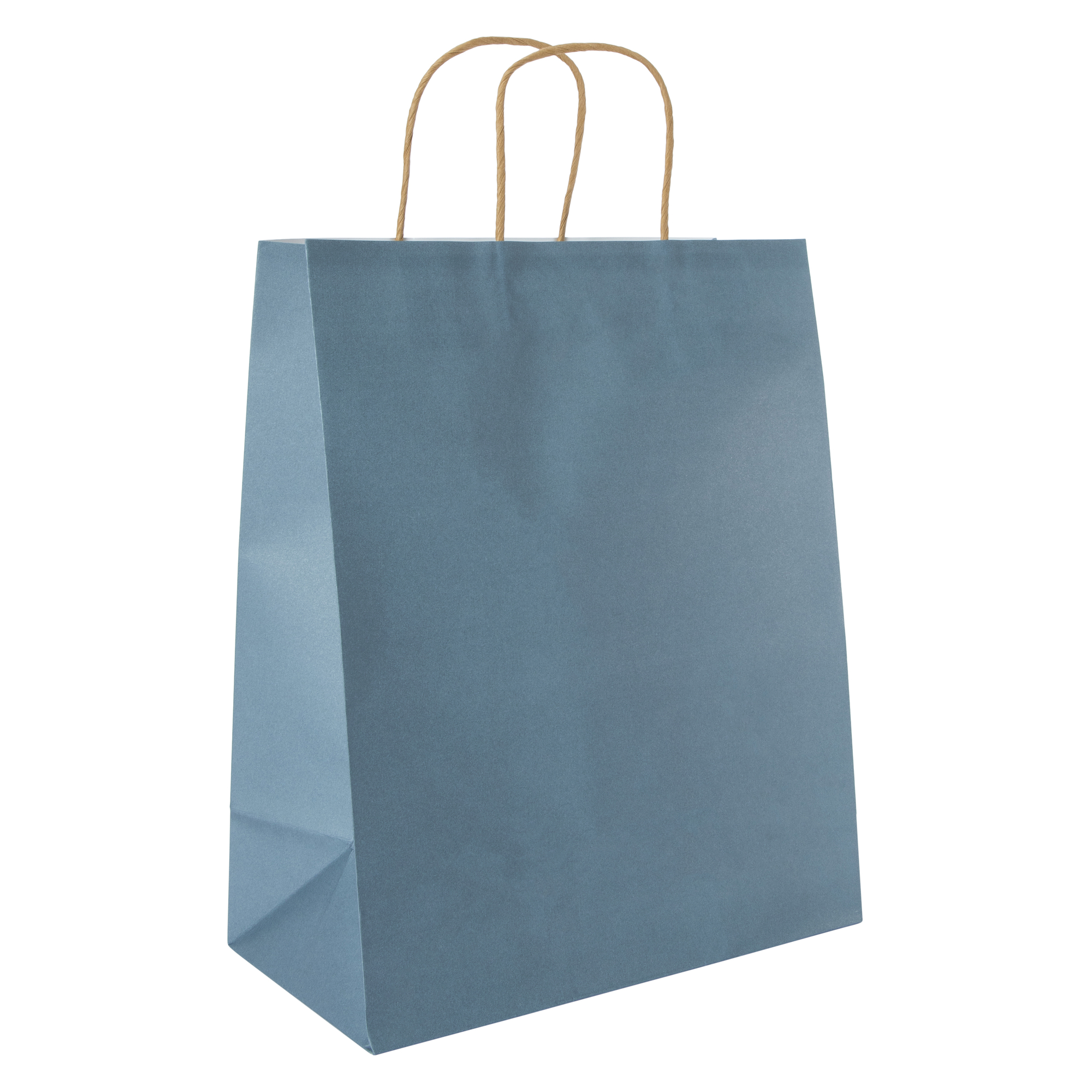 5-Count Large Kraft Gift Bags 13in x 10in - Blue
