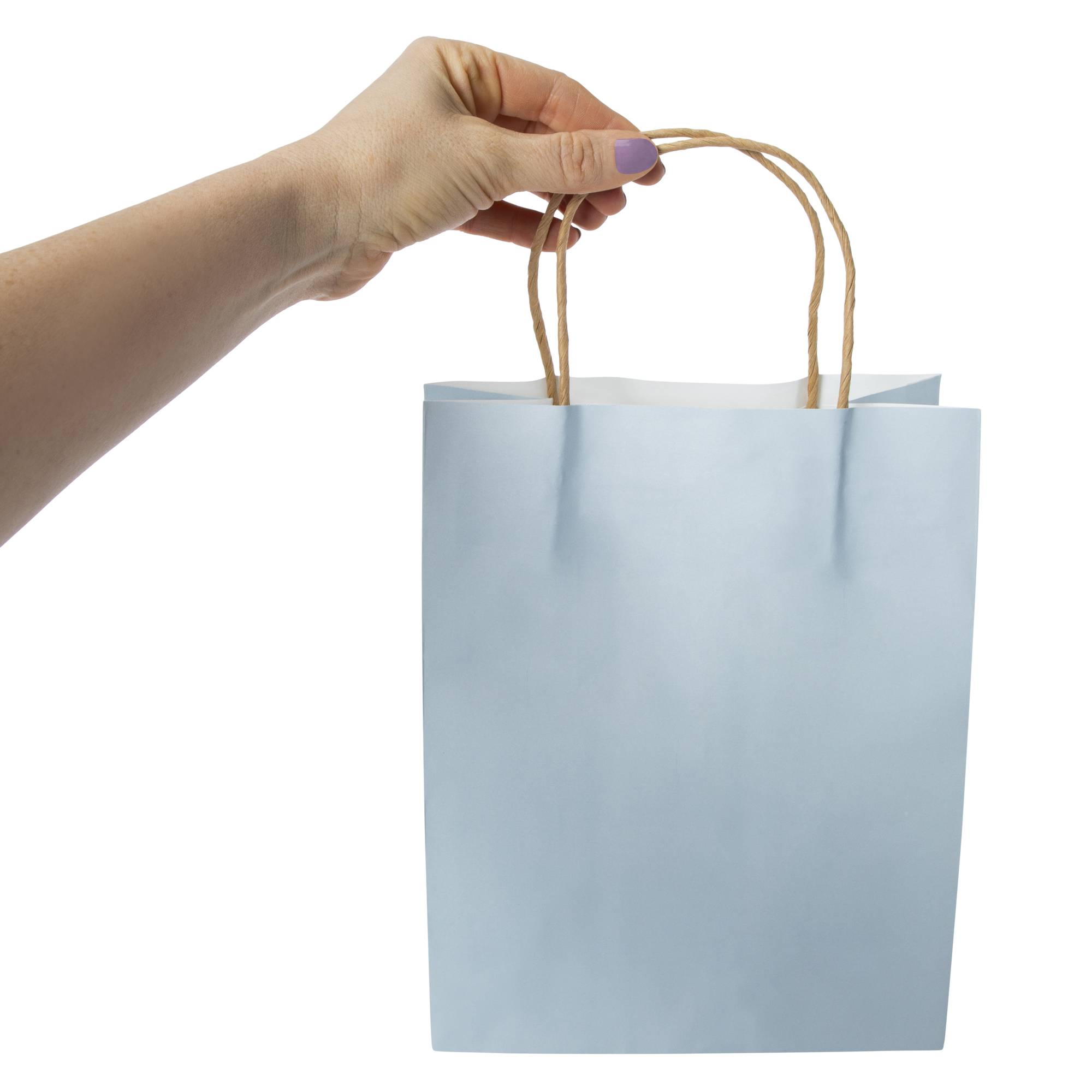 8-Count Blue Kraft Gift Bags 10in x 7.95in