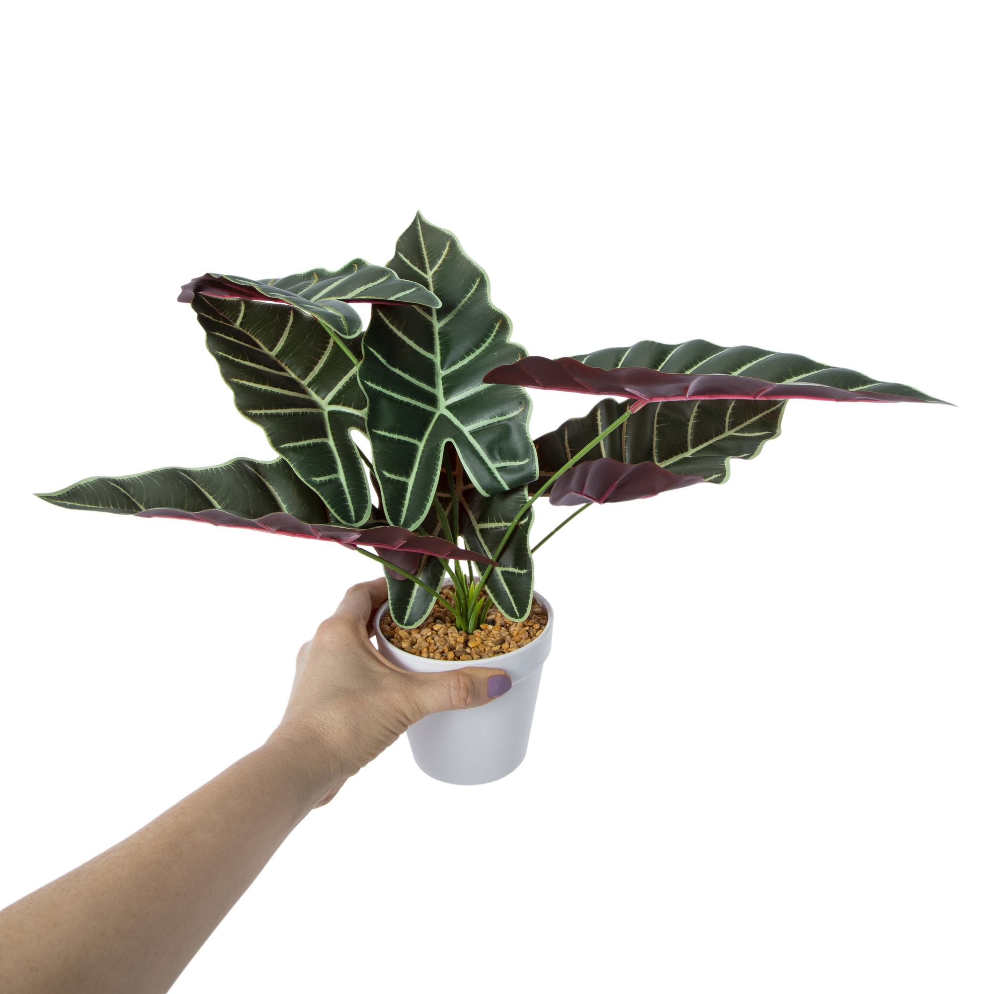 Faux Plant