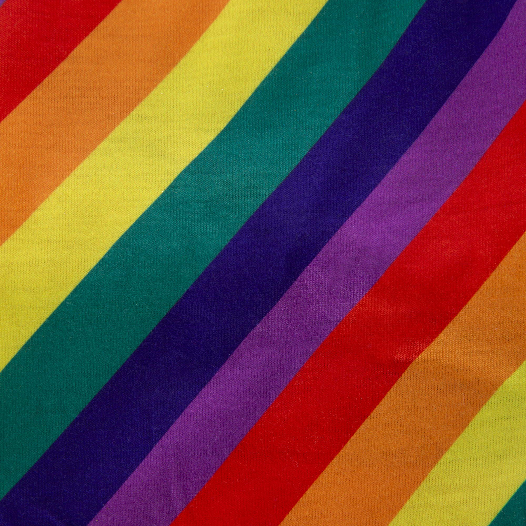 Matching Pet & Owner Pride Bandanas