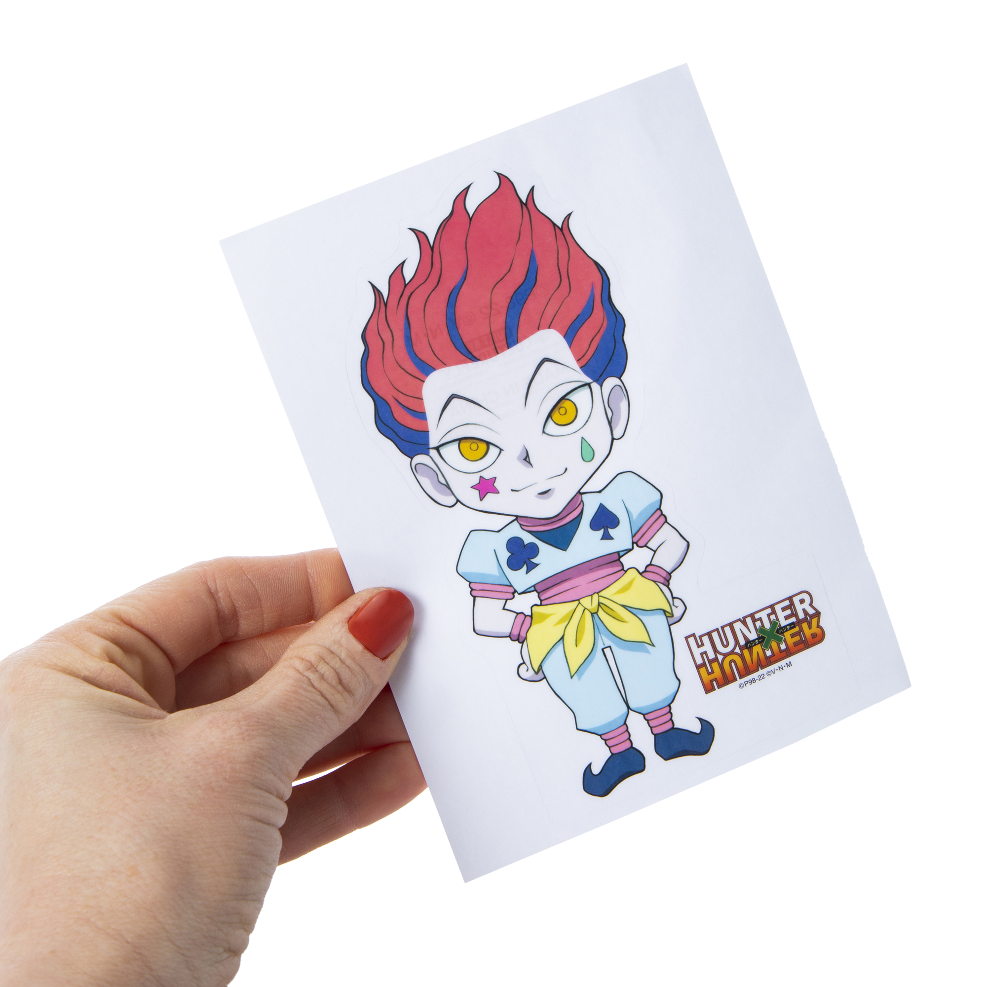 Hunter x Hunter® Car Decal