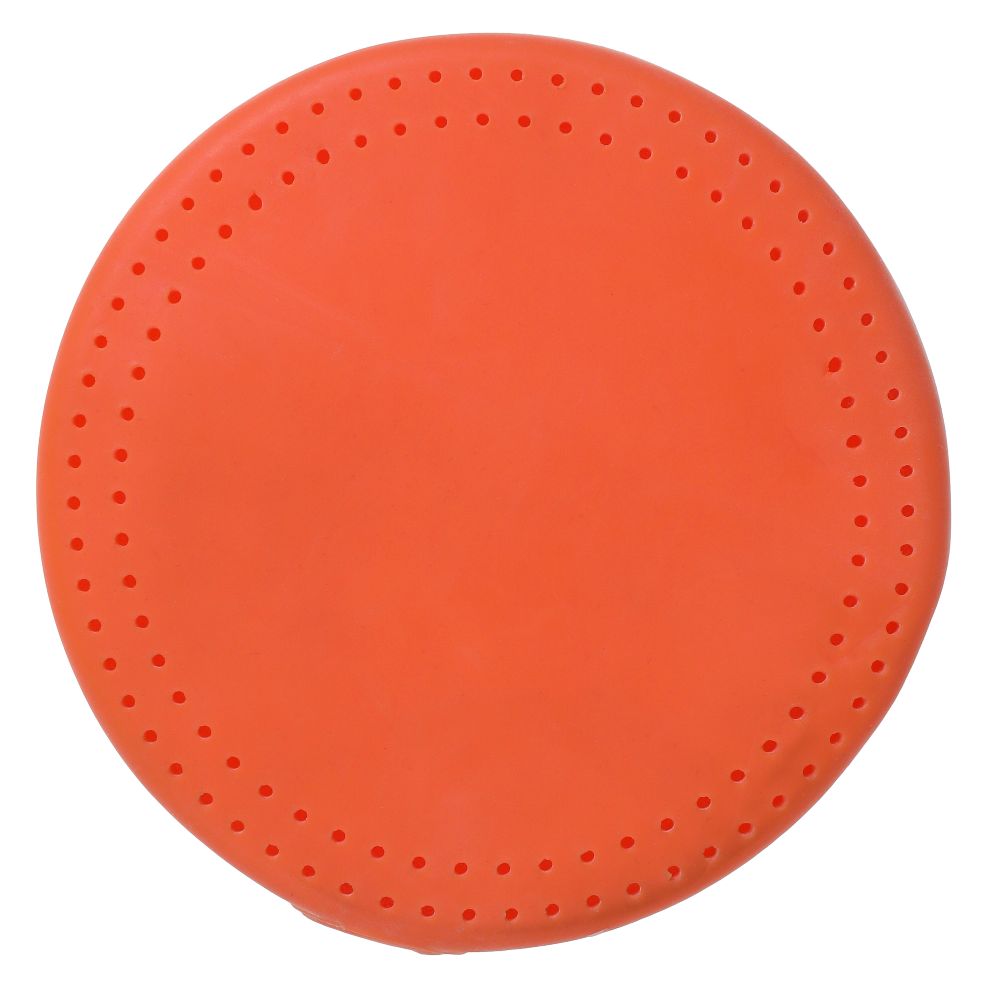 Fruit Shaped Drencher Disc Water Toy 5.5in