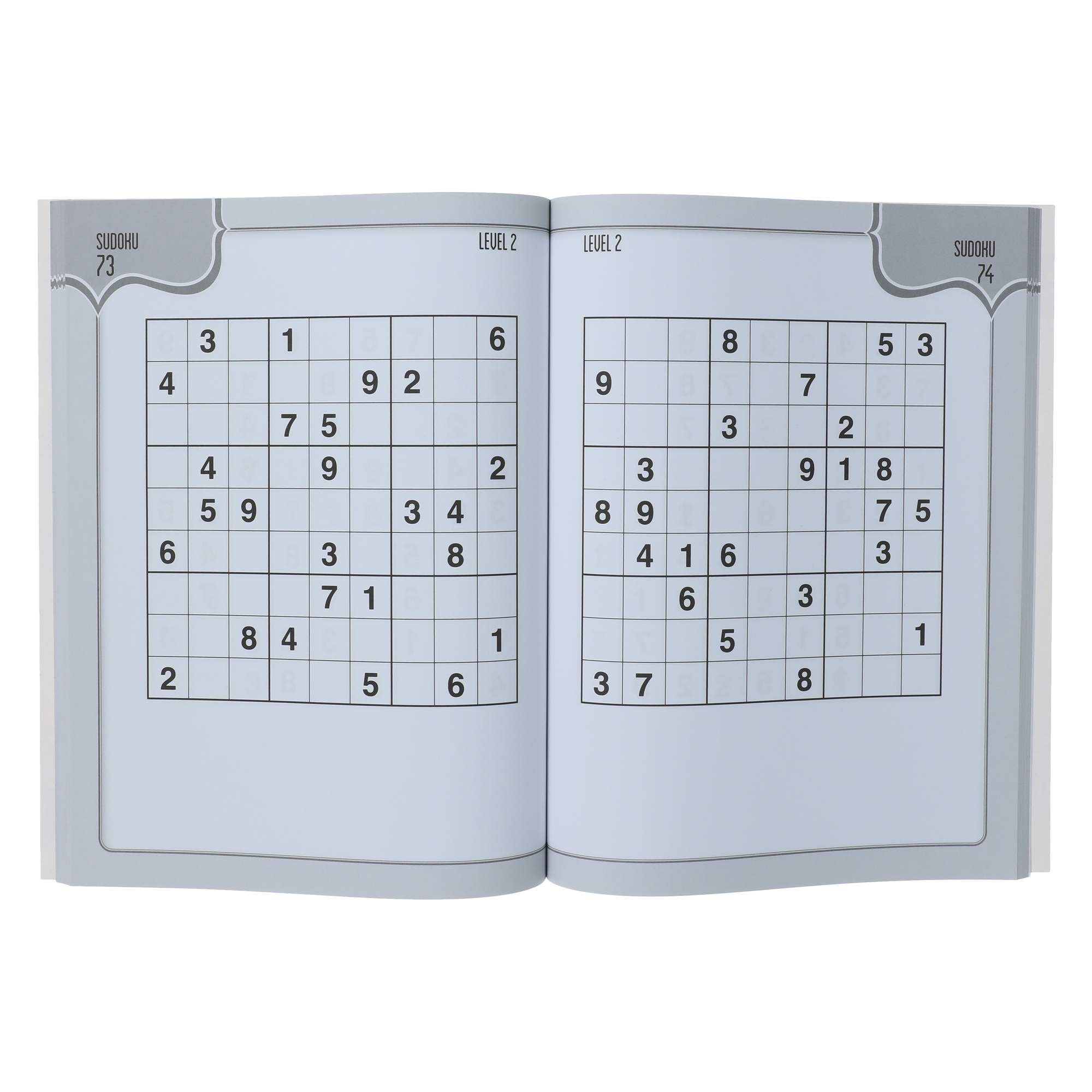Large Print Sudoku Puzzles