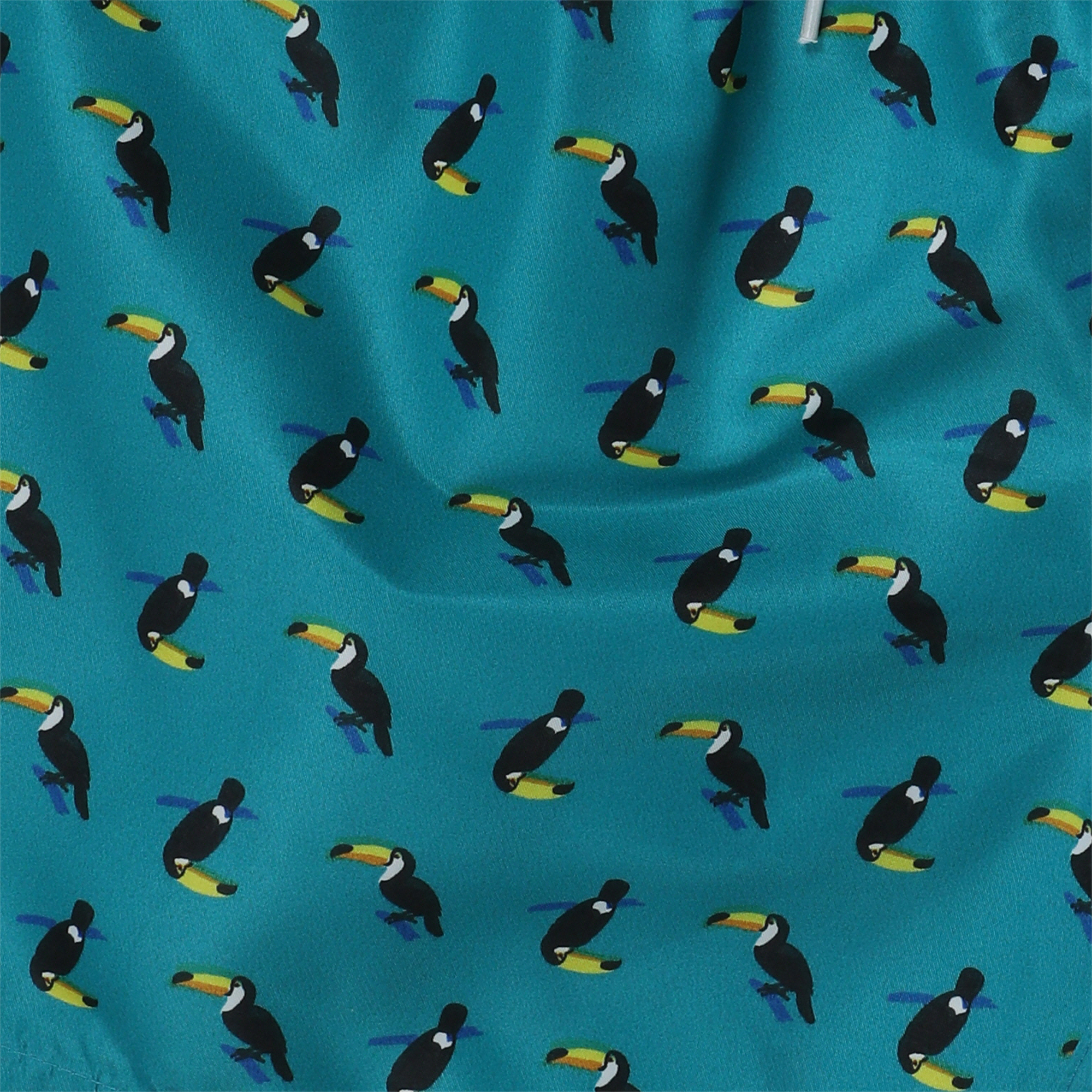 Young Men's Teal Toucan Swim Shorts