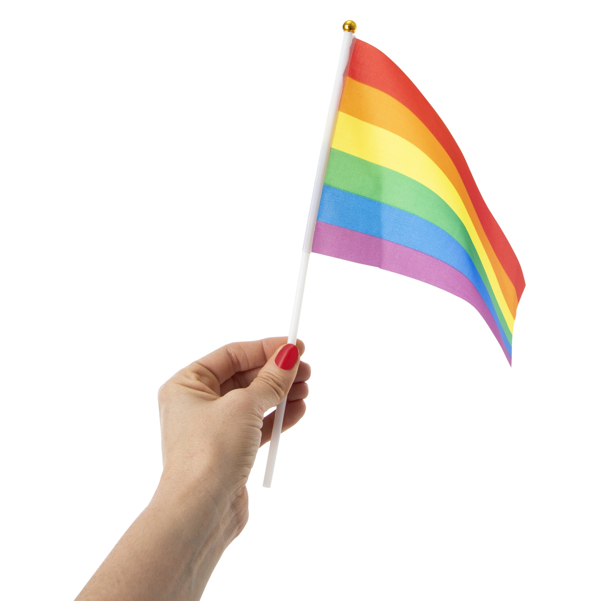 Mini Rainbow Pride Flag 8.2in x 11.8in