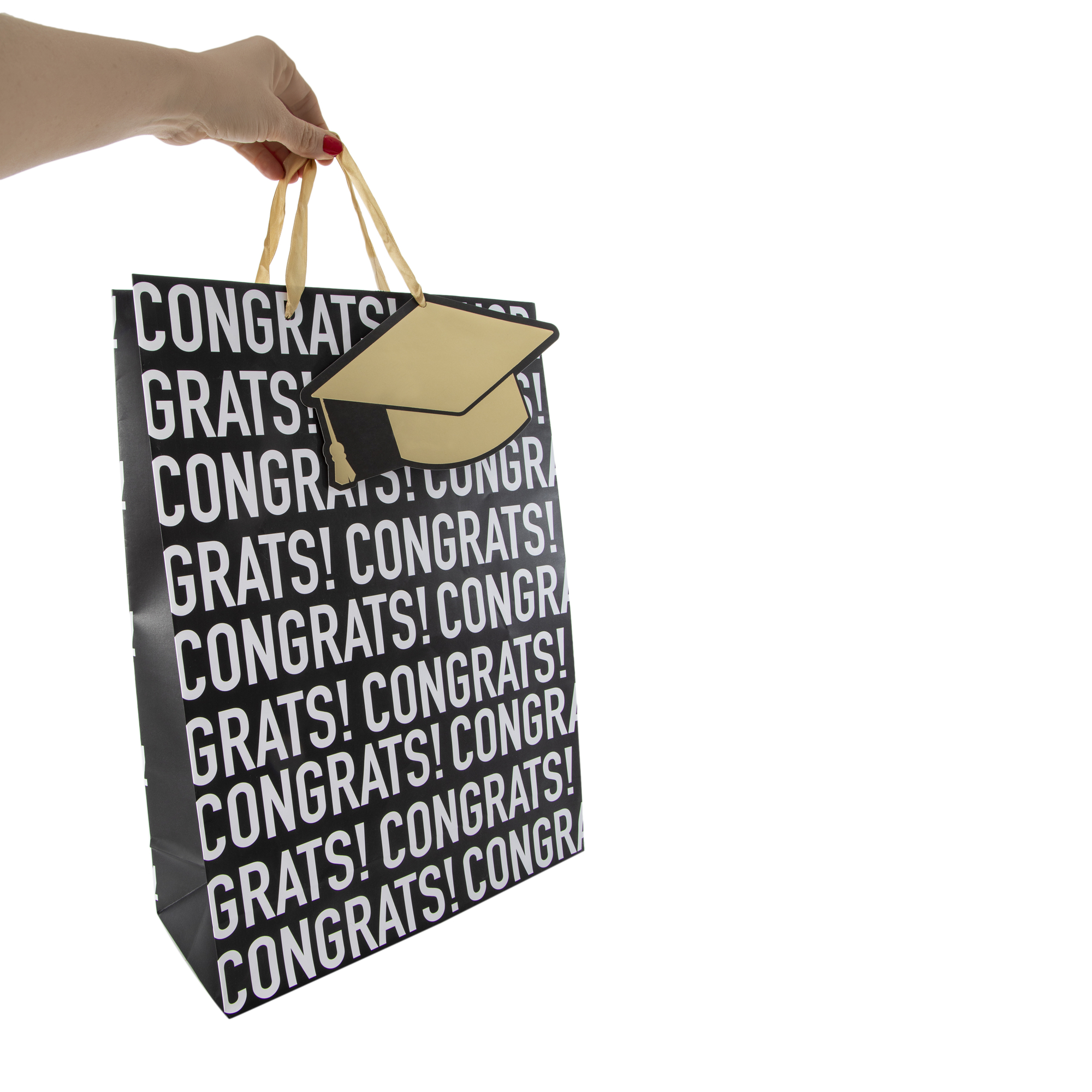 Jumbo Gift Bag 17.75in x 12.75in - Congrats