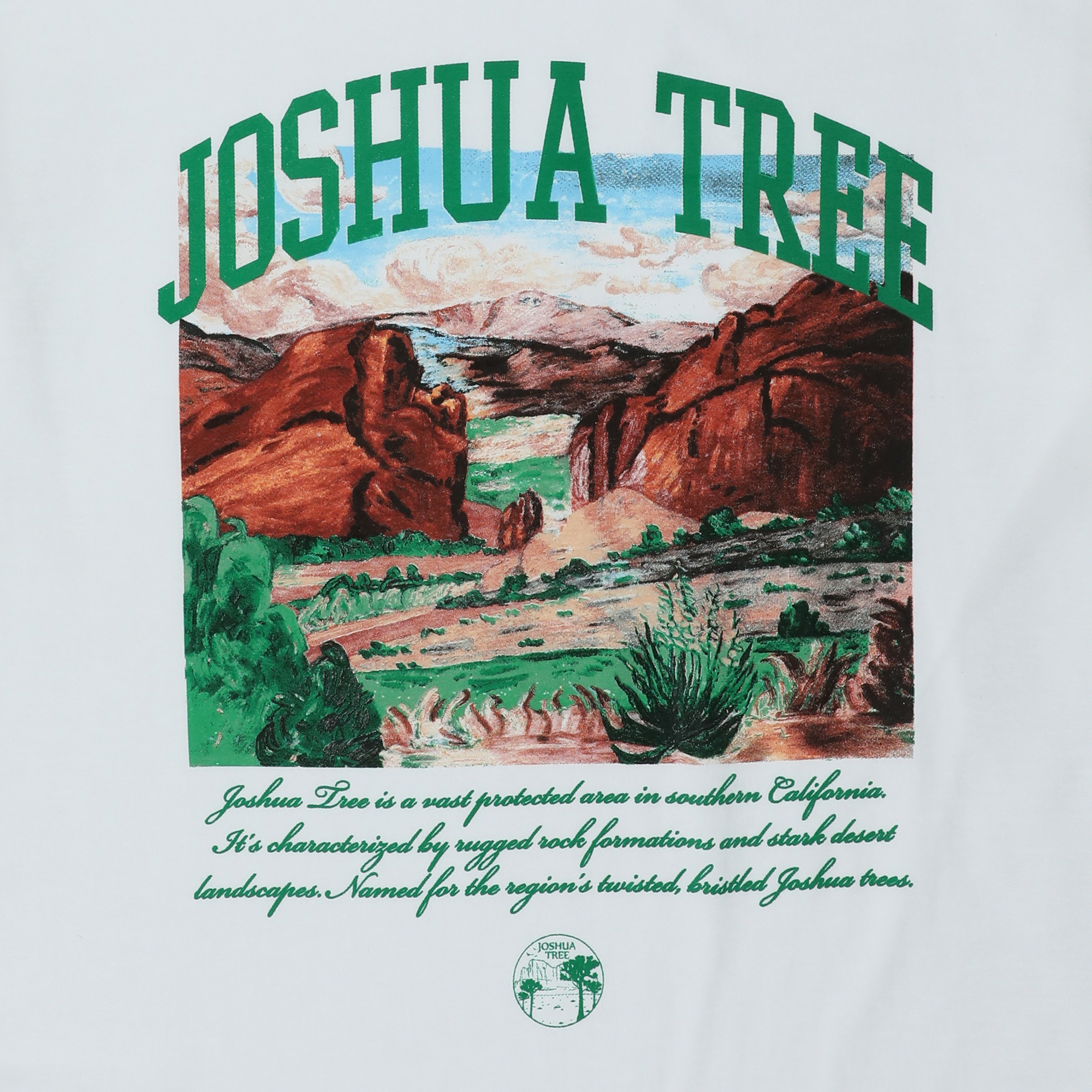 joshua tree graphic tee | Five Below