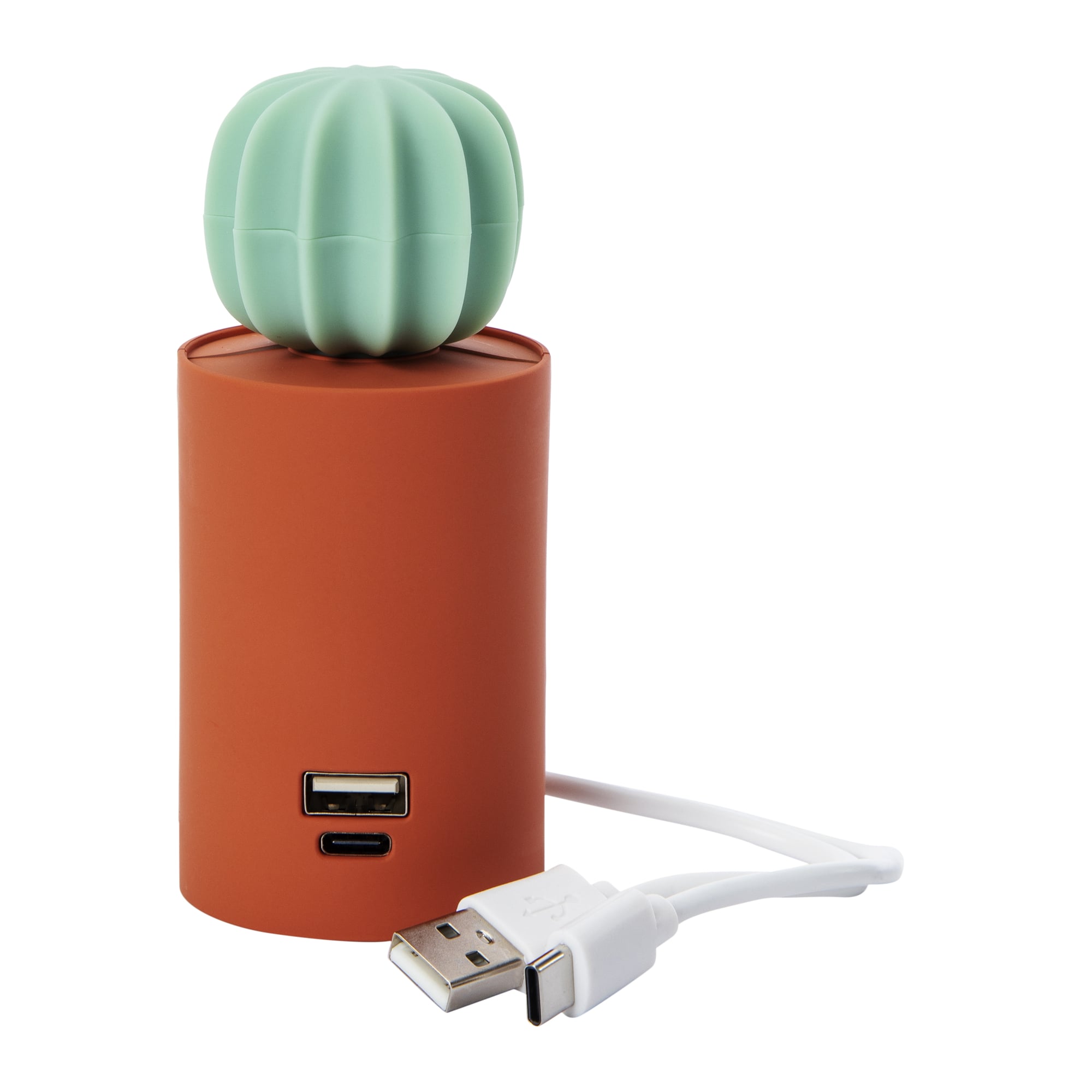 Dual Port USB & USB-C Novelty Portable Rechargeable Power Bank