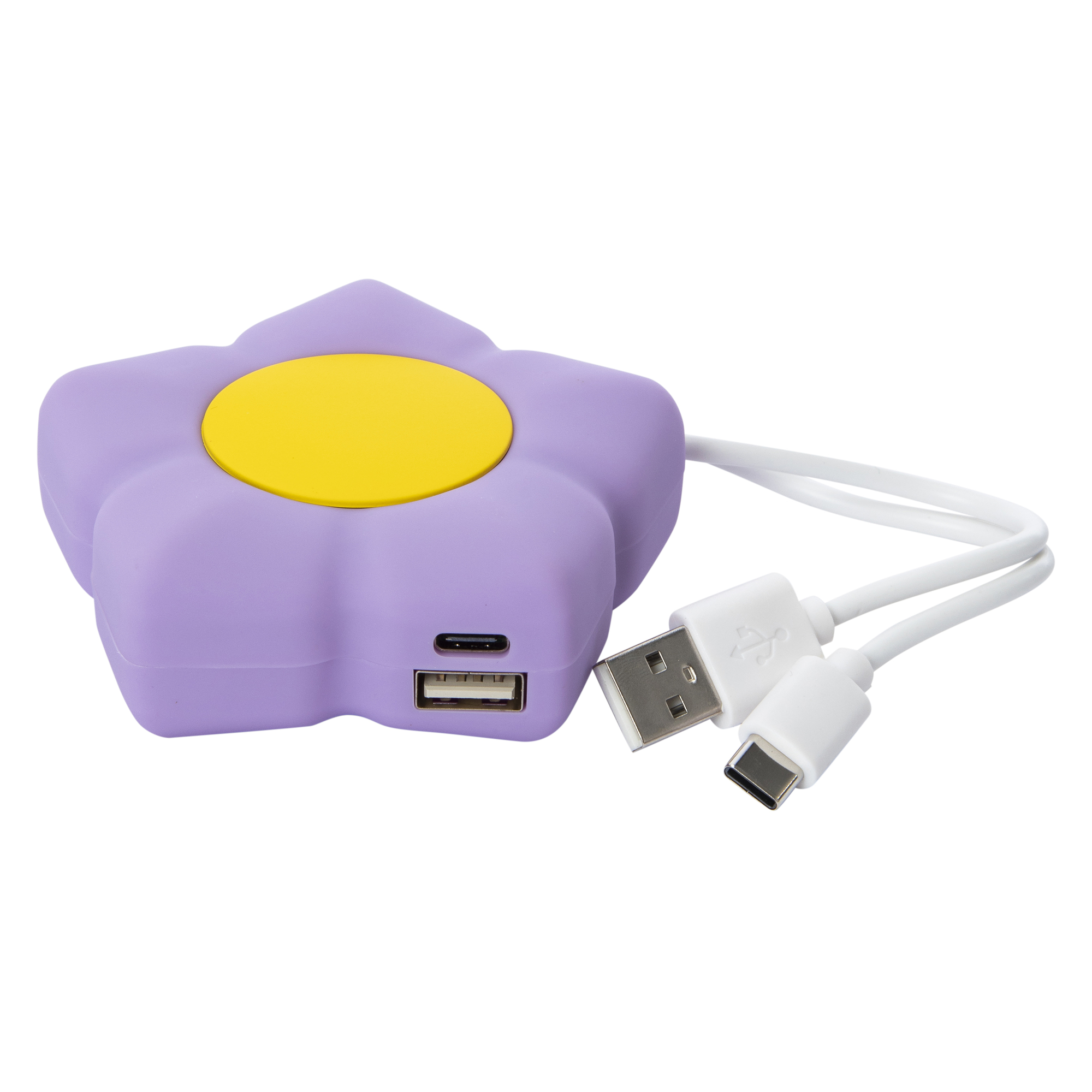 Dual Port USB & USB-C Novelty Portable Rechargeable Power Bank 2100mAh