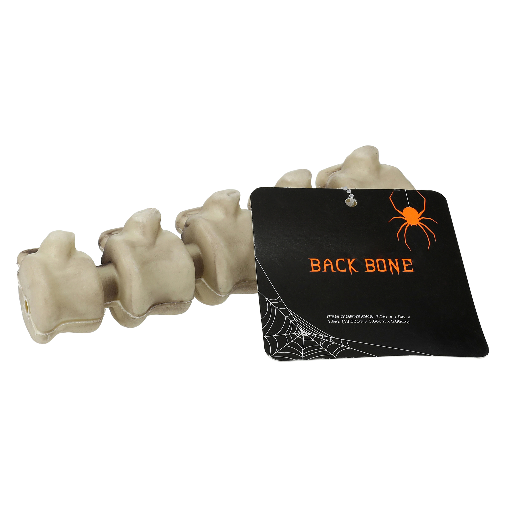 Halloween Skeleton Bone Decor