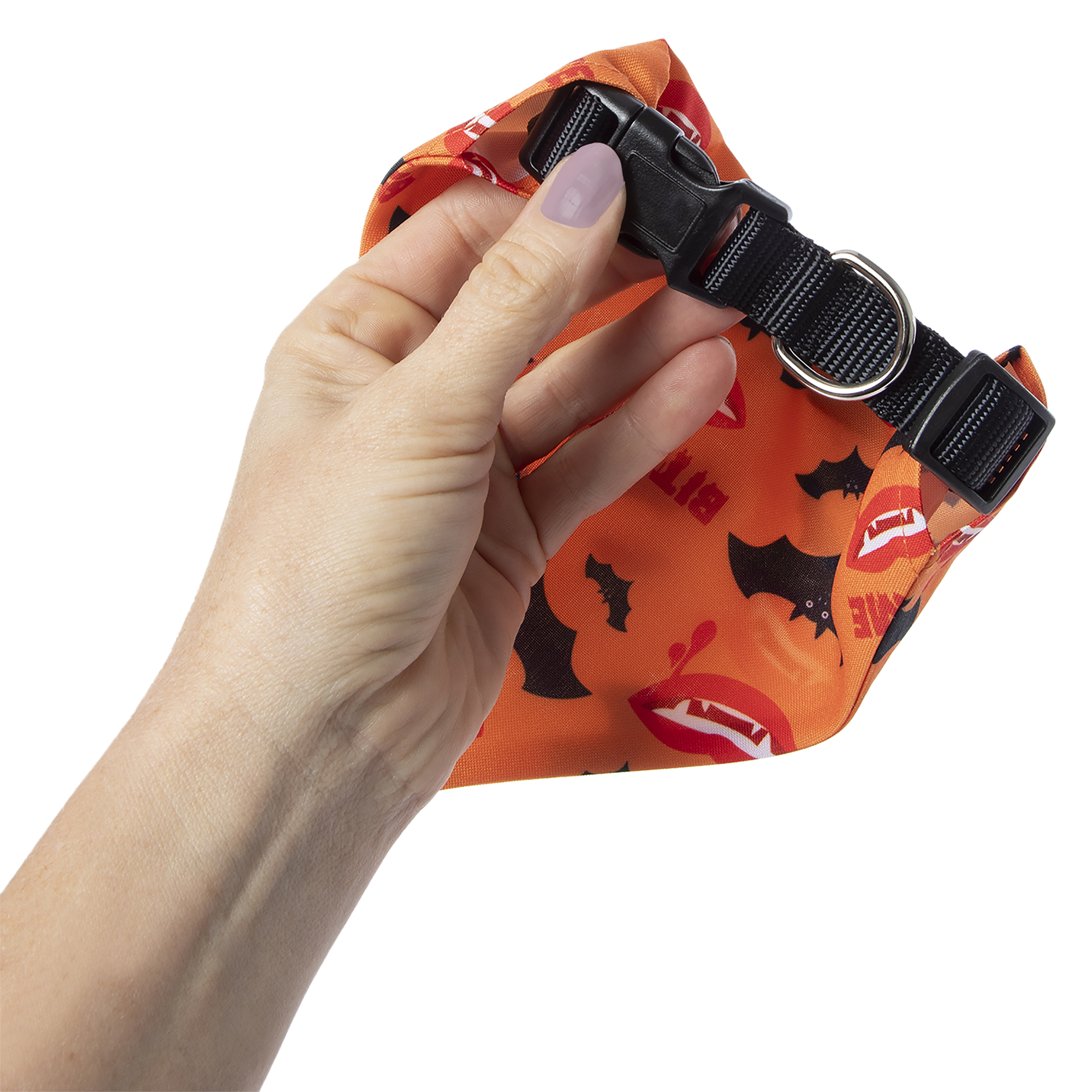 Halloween Pet Collar & Bandana Set