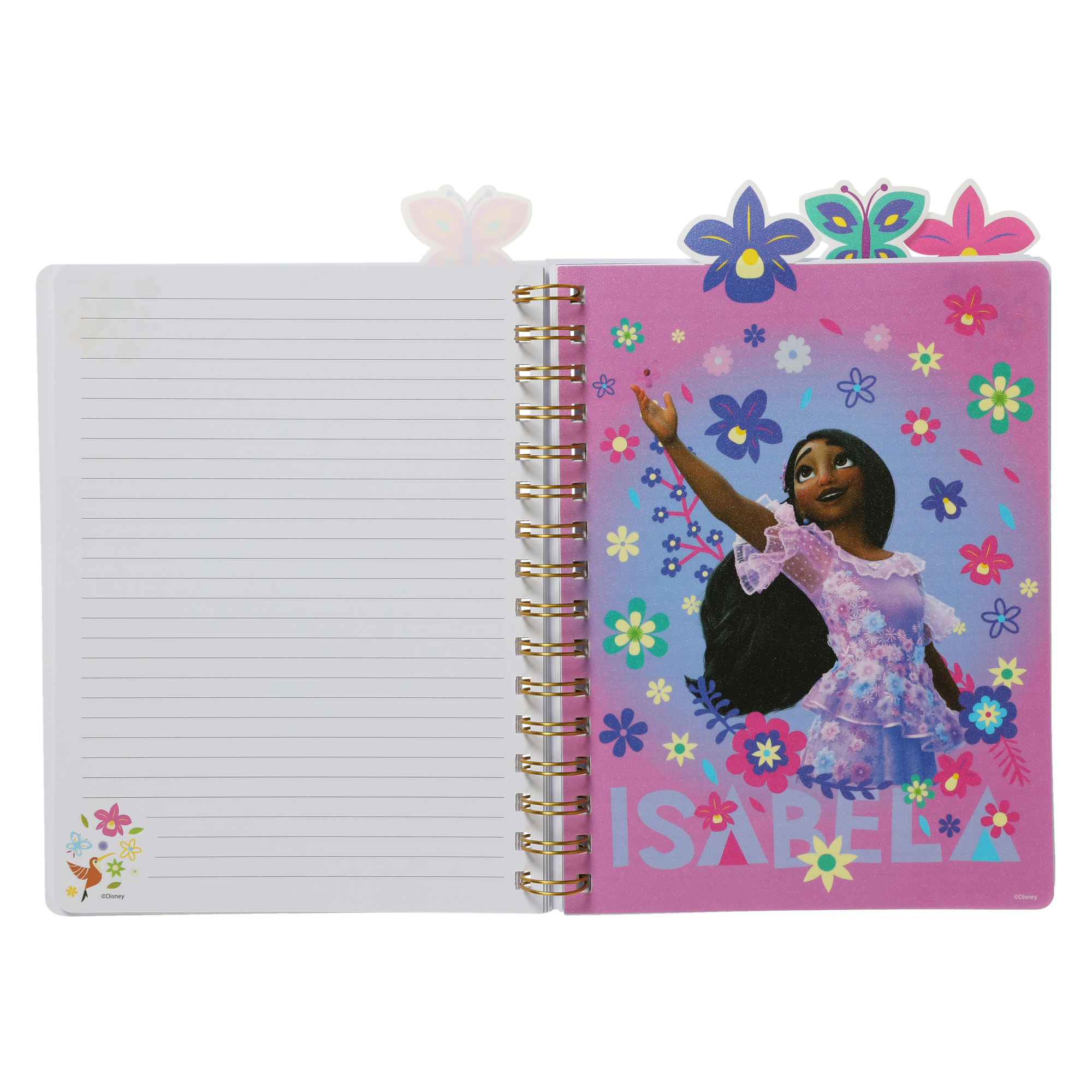 Disney Encanto Tab Journal