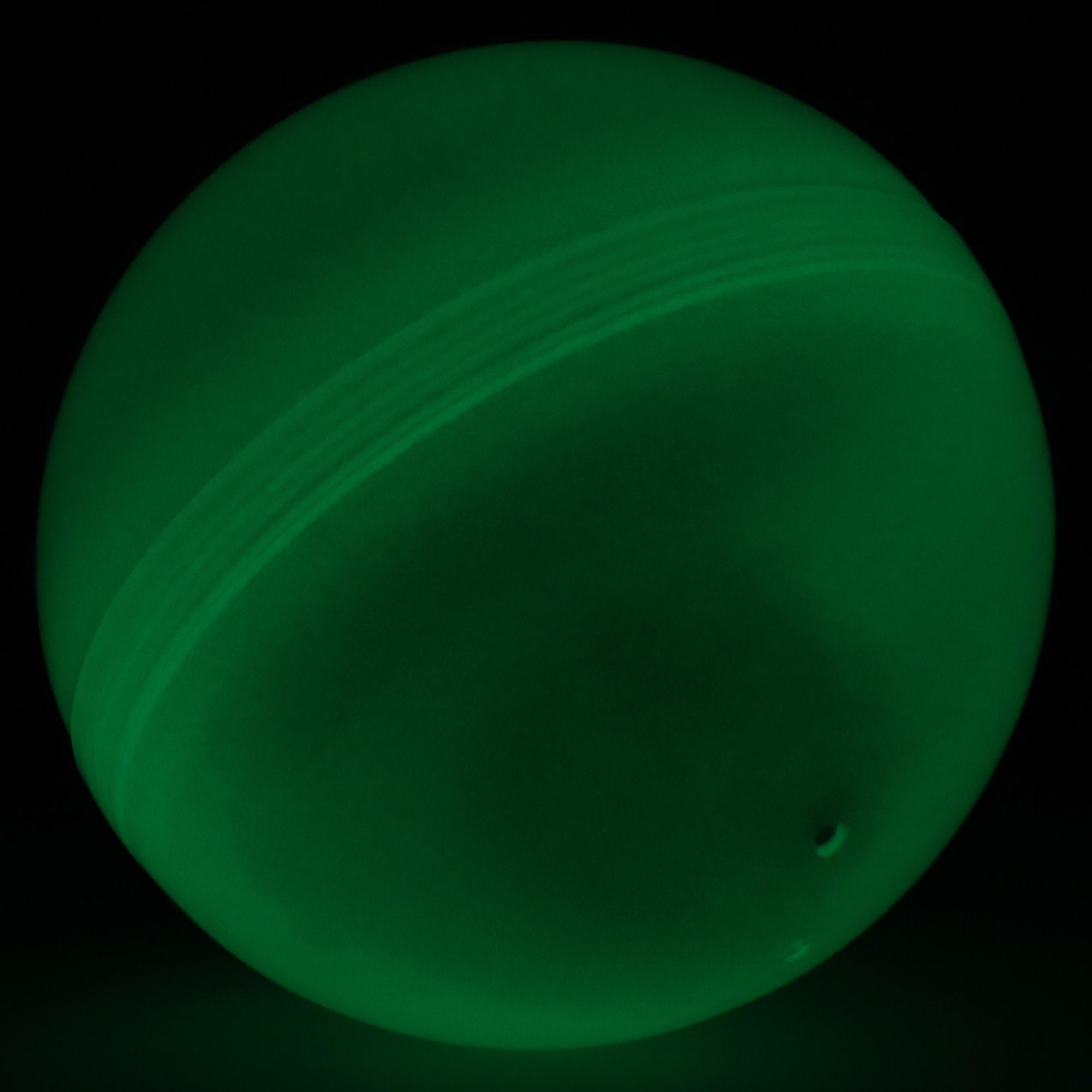 Glow The Dark Rolling Ball Toy With Hamster