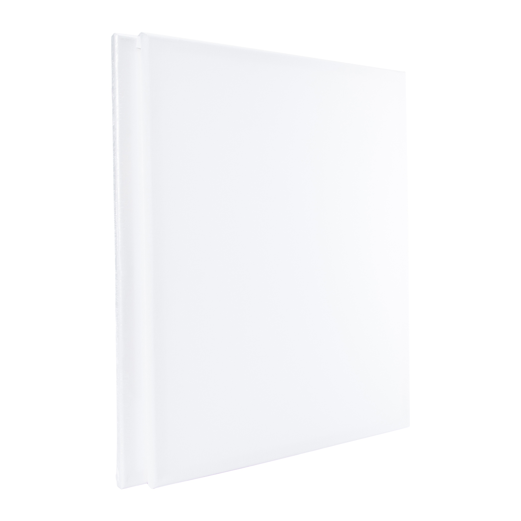 16in x 20in Stretched Canvas 2-Count