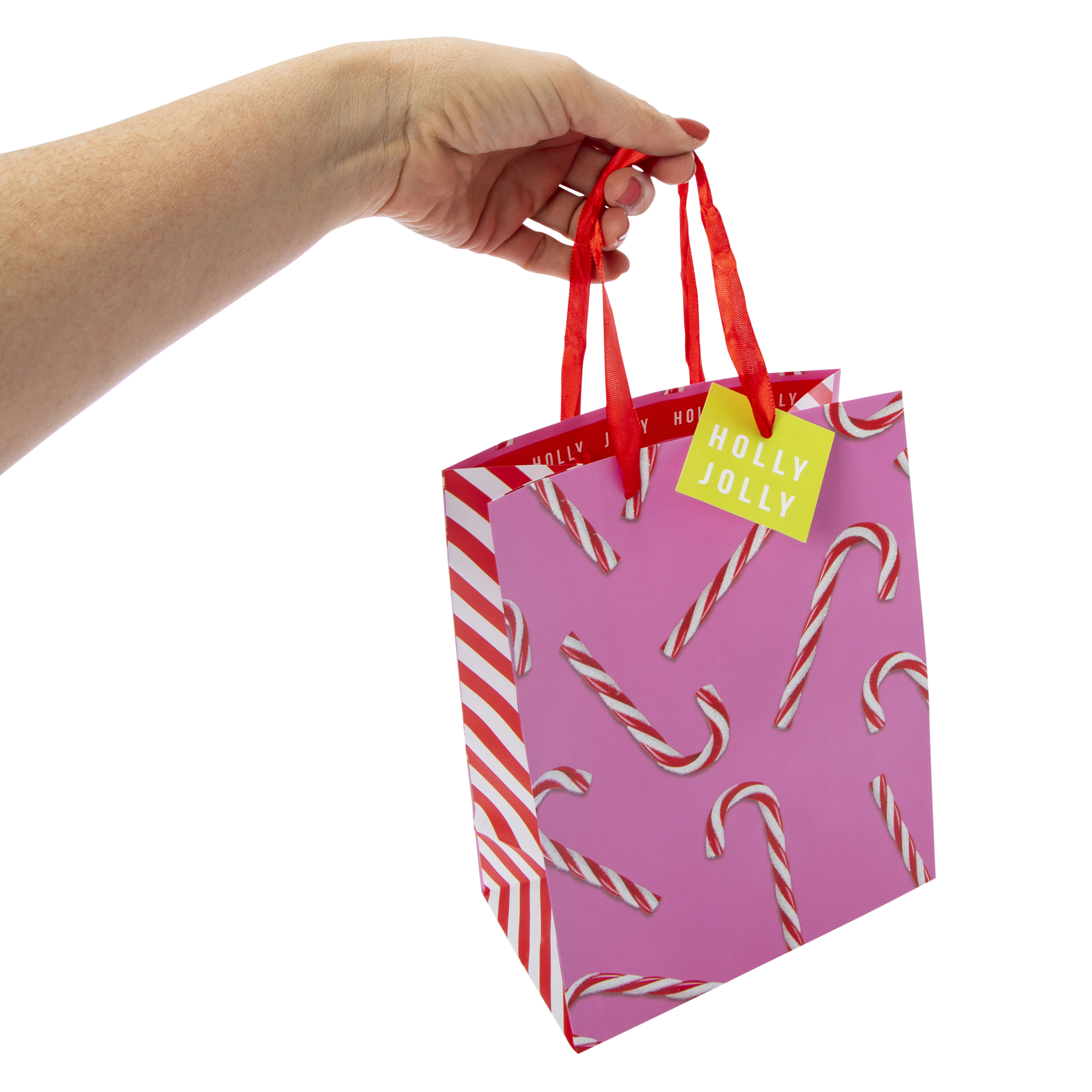 Medium Holiday Gift Bag 7in x 9in