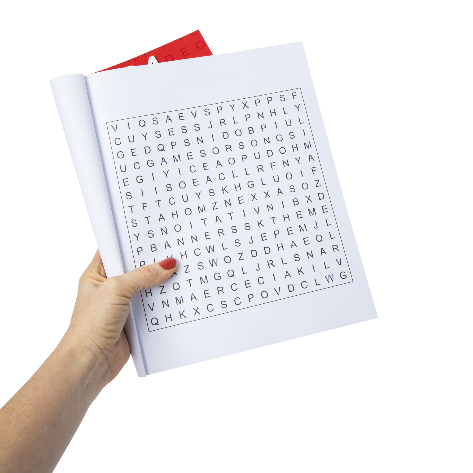 Extra Large Print Word Search Puzzles Book