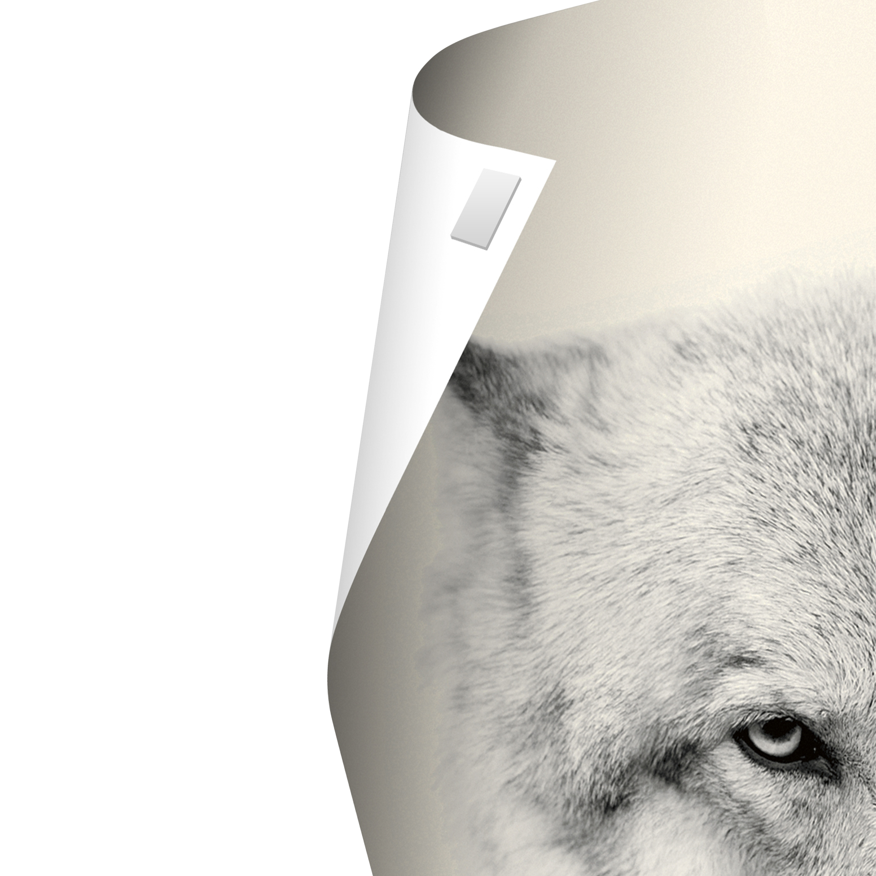 Postups™ Poster Mounts - 16 Tabs