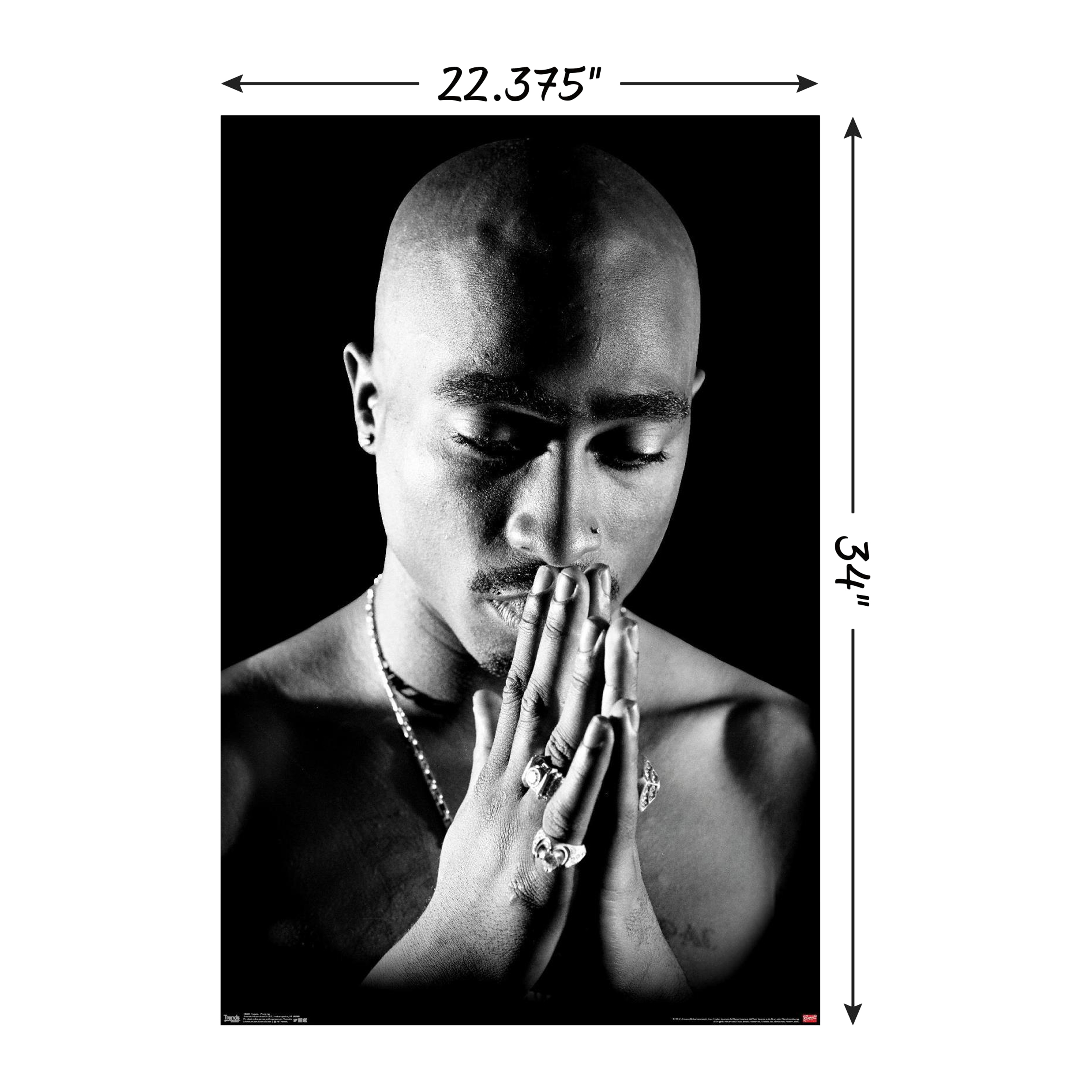 Tupac Praying Poster 22.37in x 34in