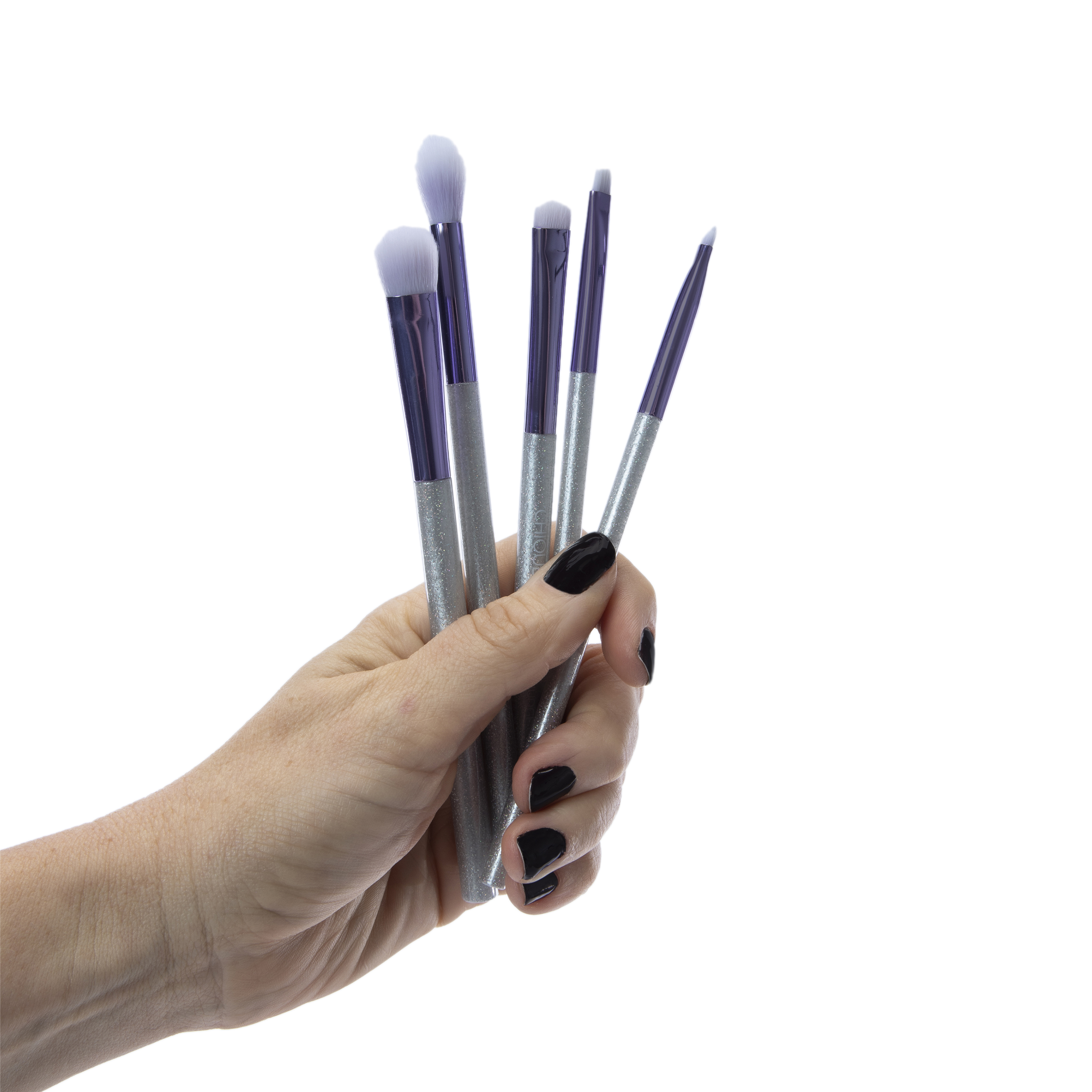 Chique™ Purple Iridescent Eye Makeup Brush Kit 5-Piece