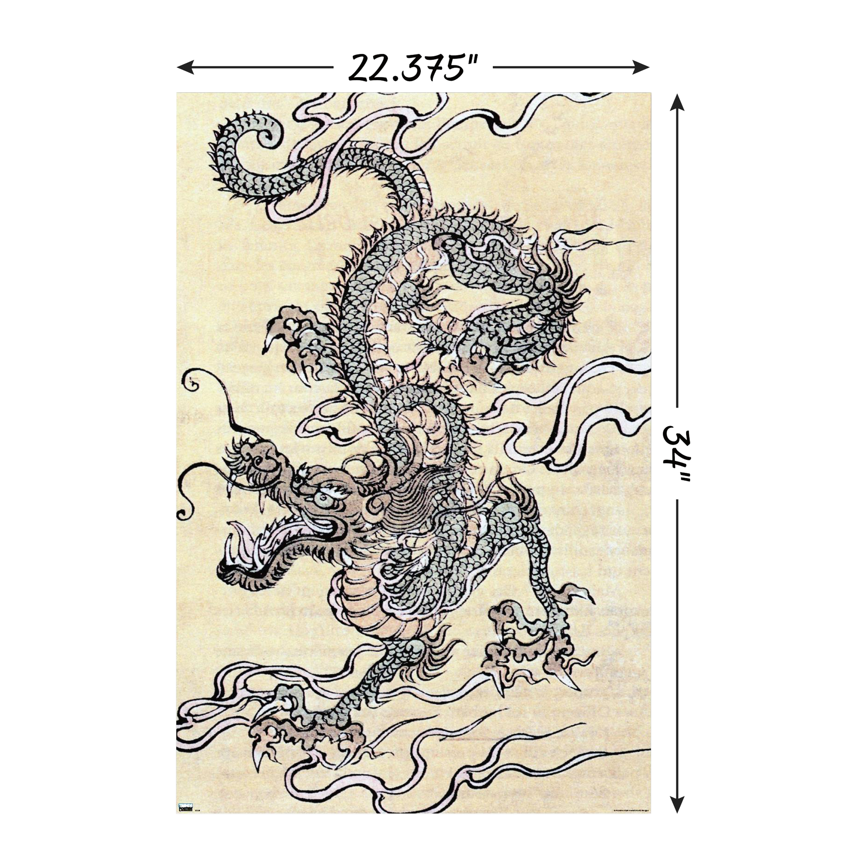 Japanese Dragon Poster 22.37in x 34in