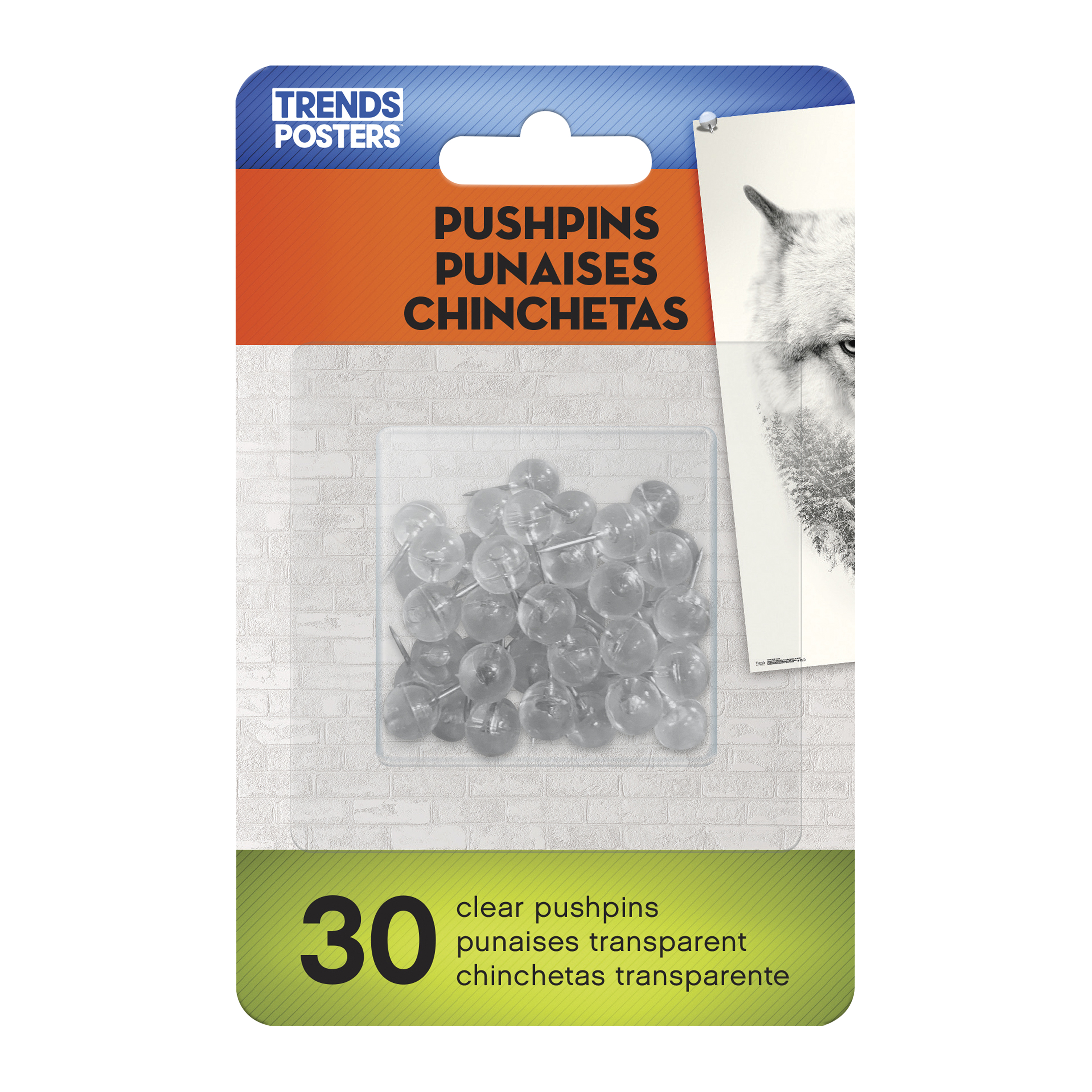 Clear Pushpins 30-Count