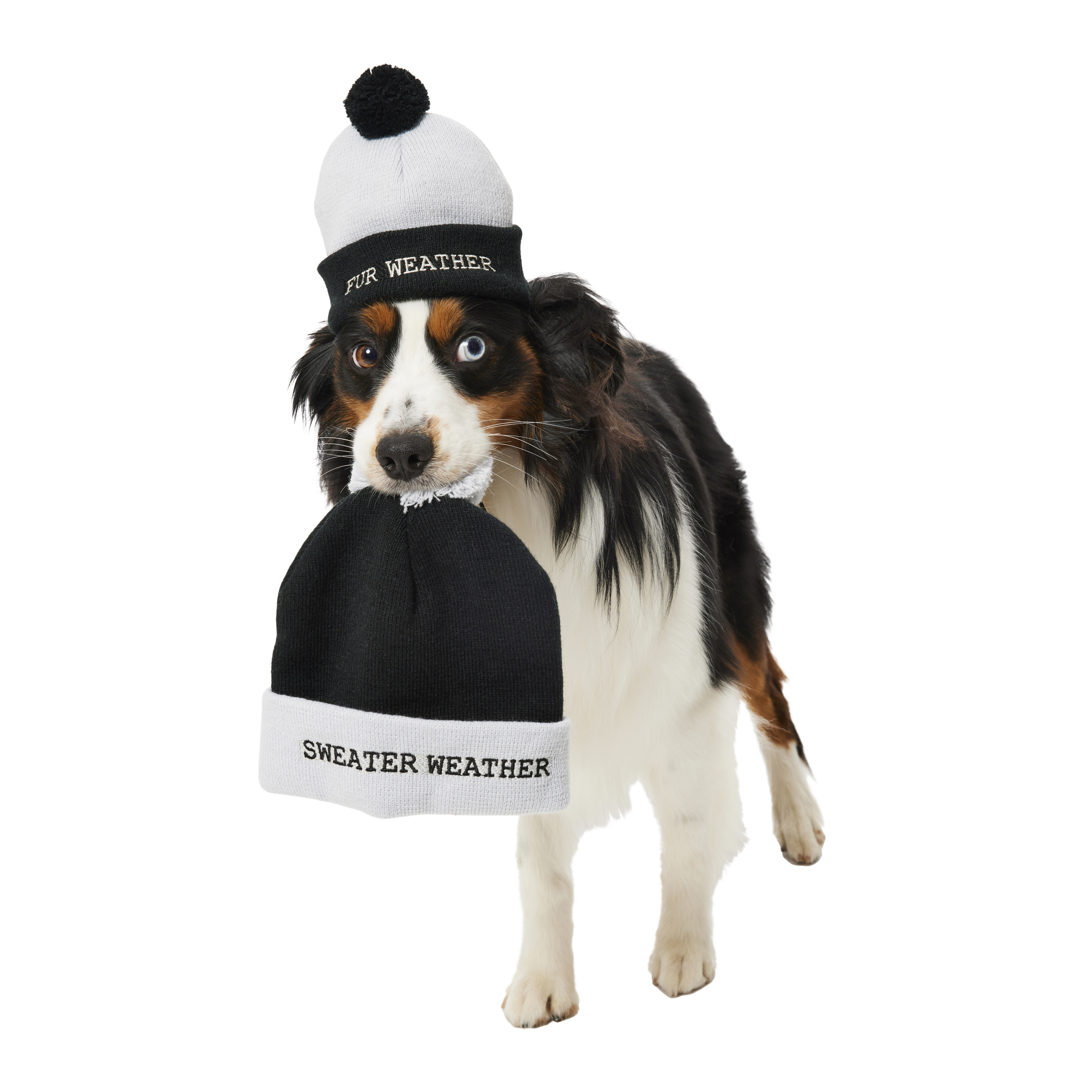 Matching Pet & Owner Beanie Hats Set - Fall