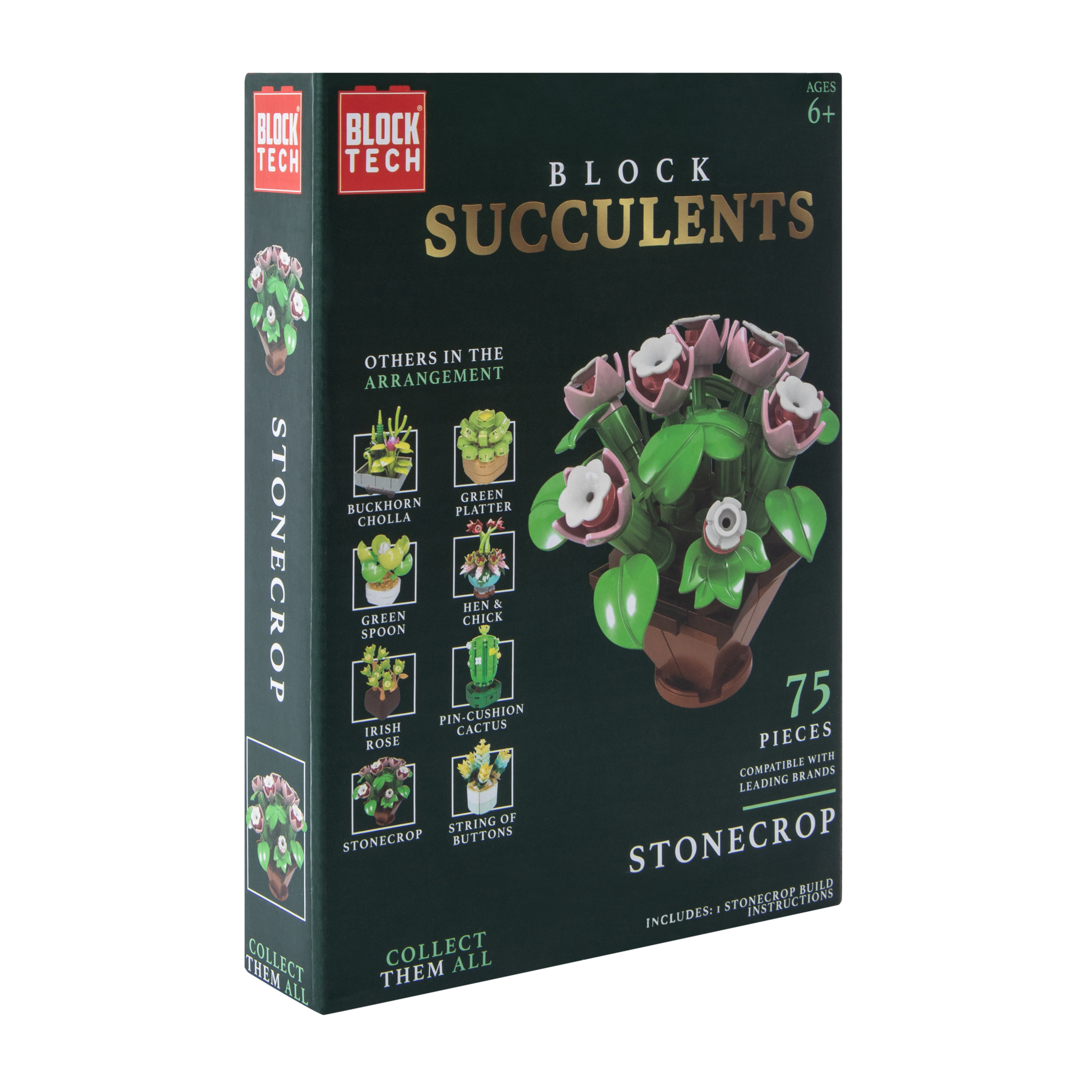 ● リーブ21 テクノメイト　パルシータ　セット Block Tech® Succulents Block Set | Five Below