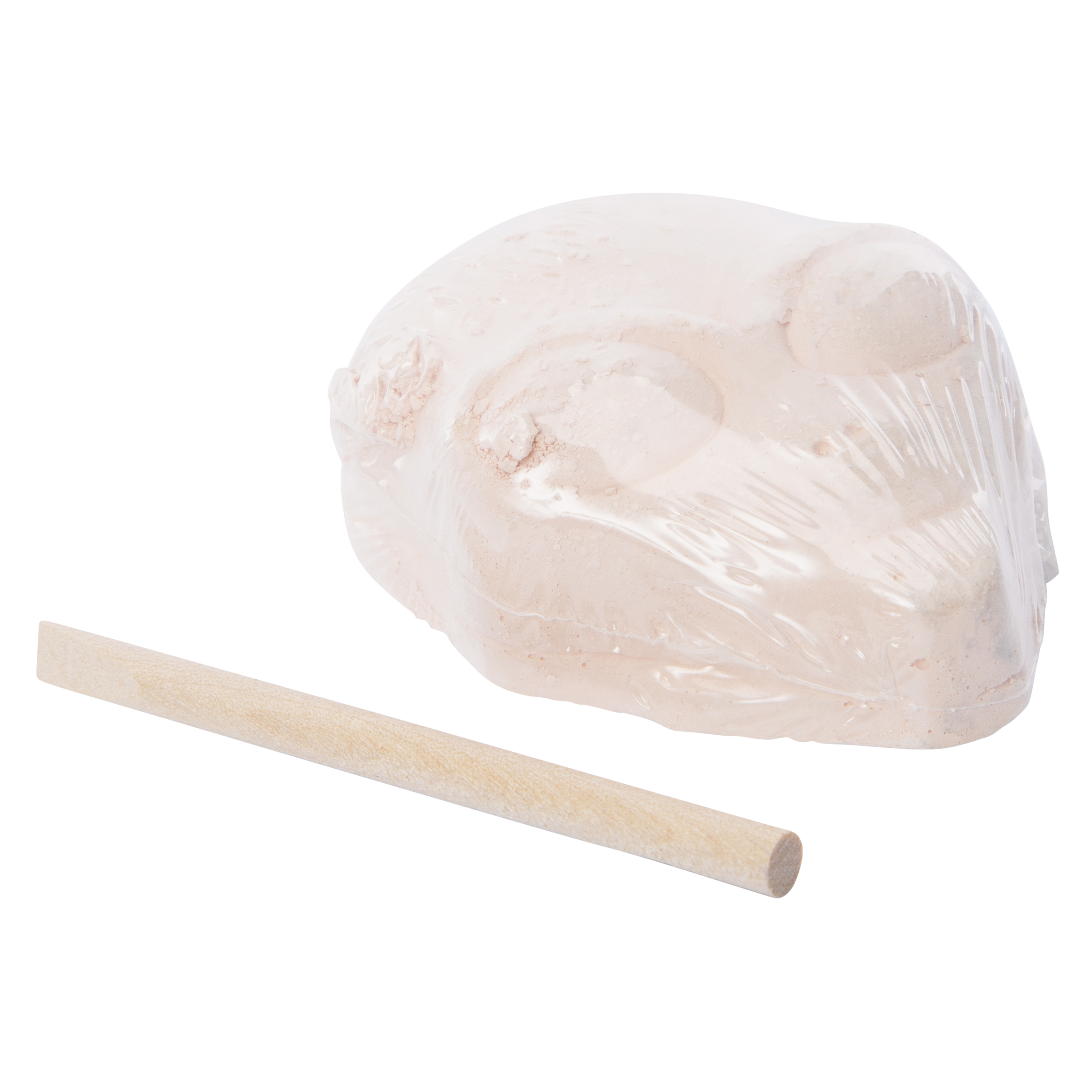 Dig Team® Mystery Kit