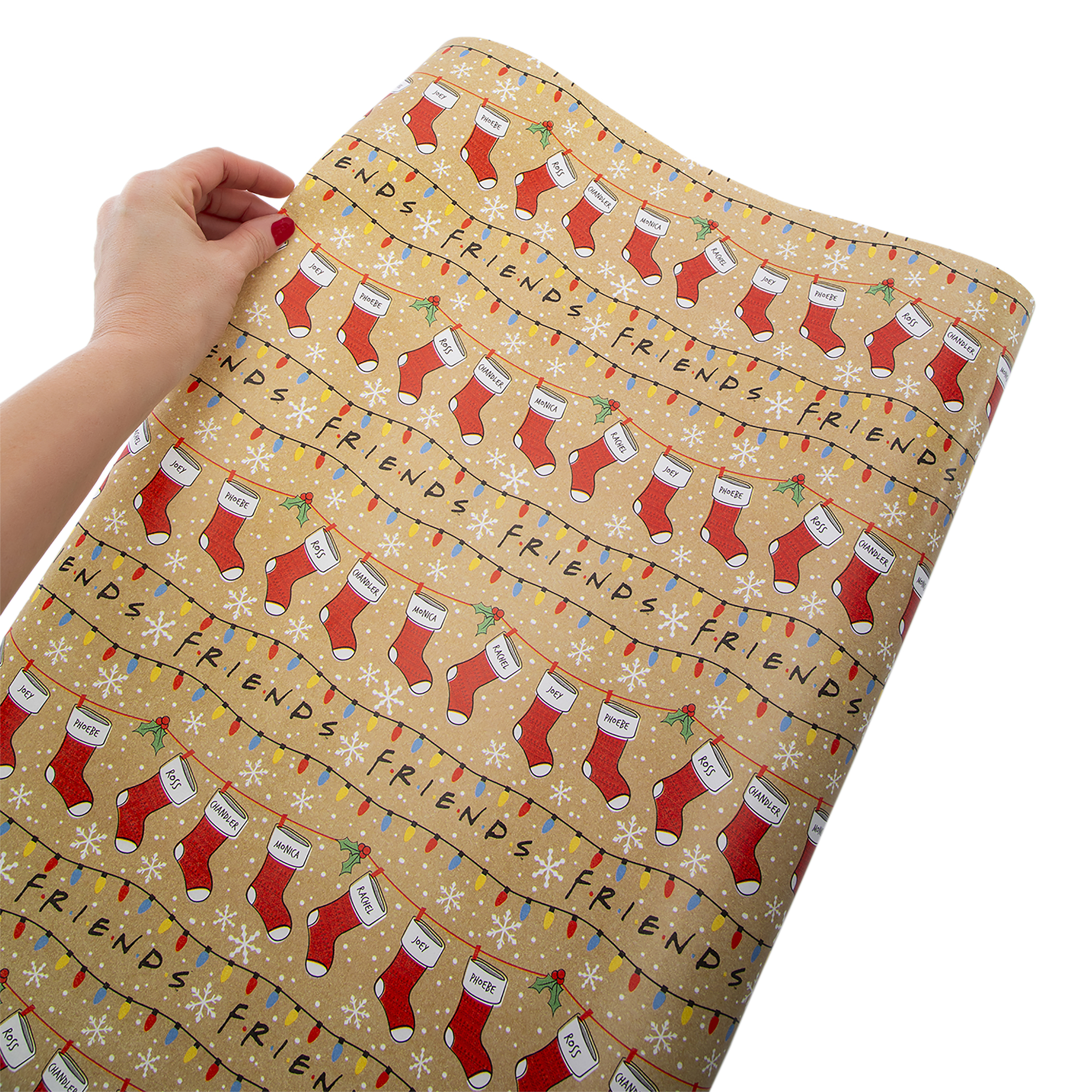 Character Holiday Wrapping Paper 50 Sq.ft