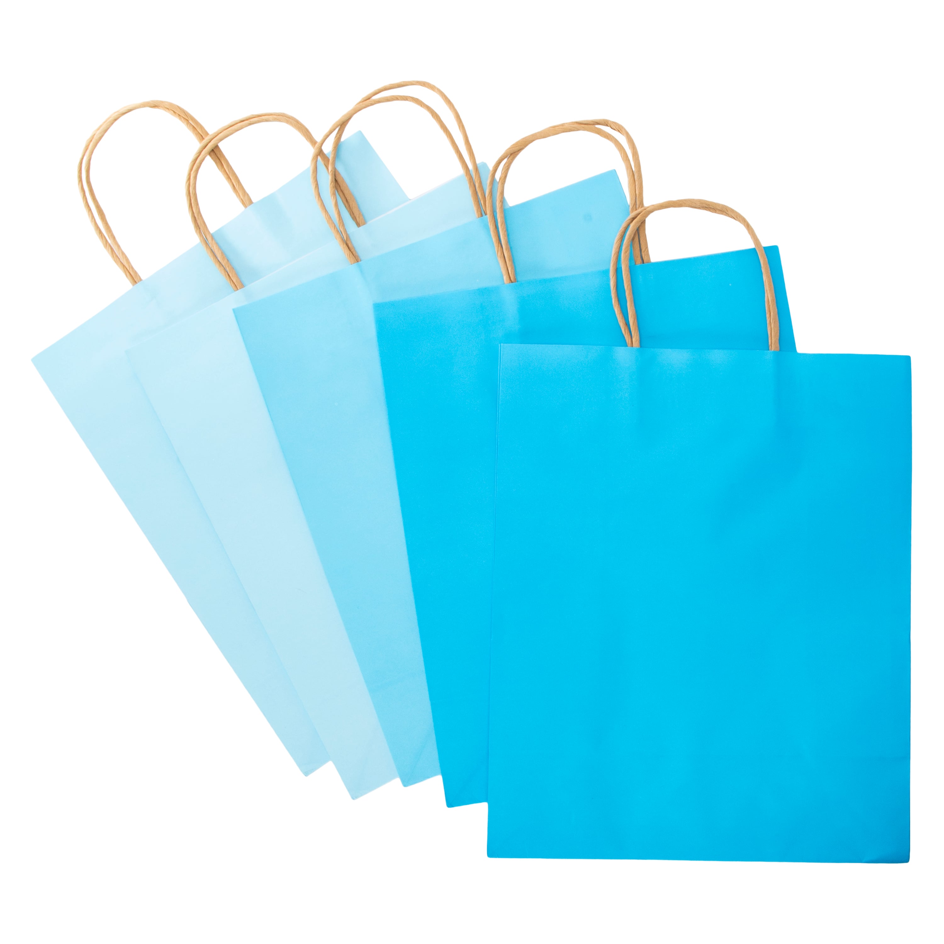 Recyclable Eco-Friendly Large Gift Bags 5-Count