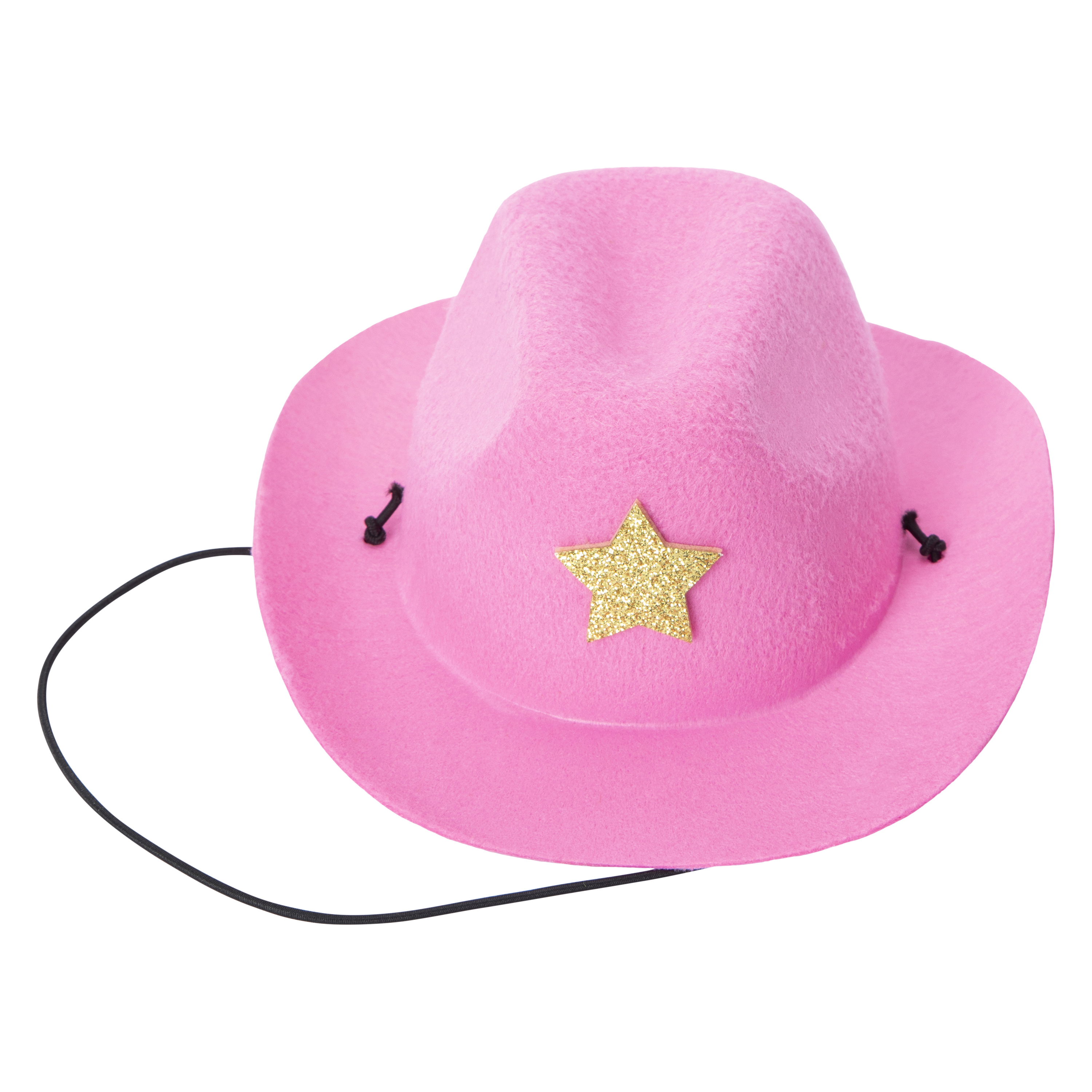 Pet Hat
