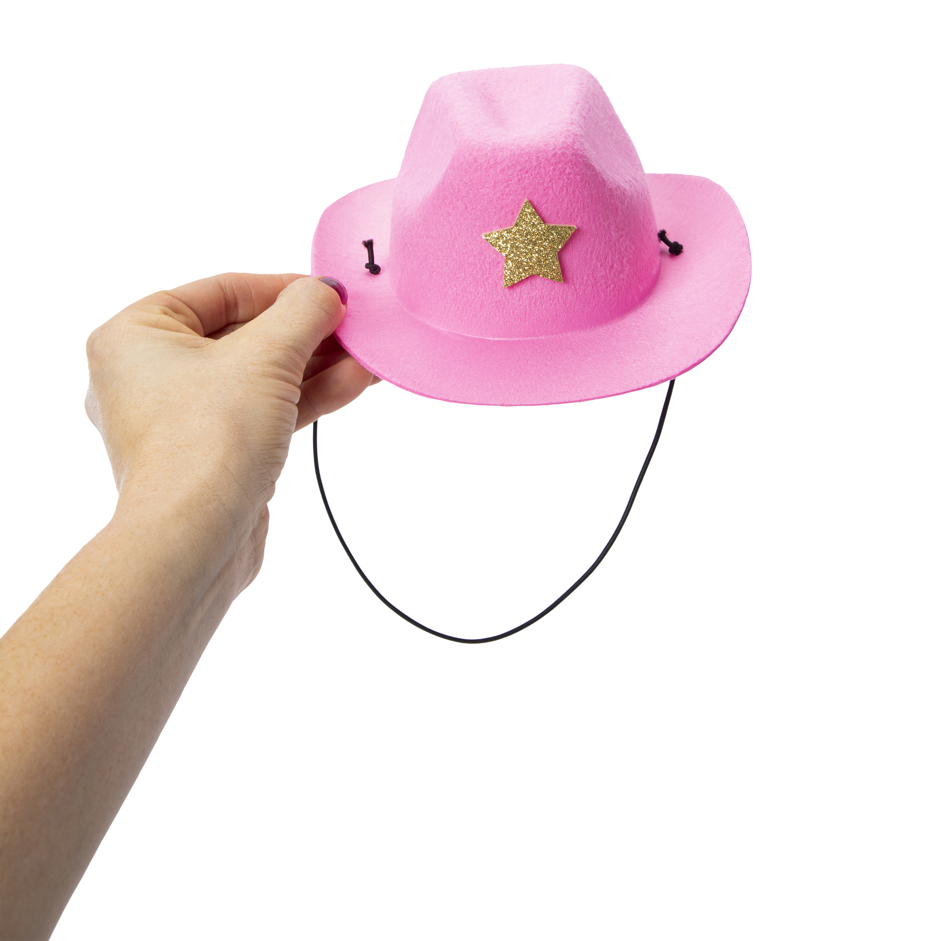 Pet Hat