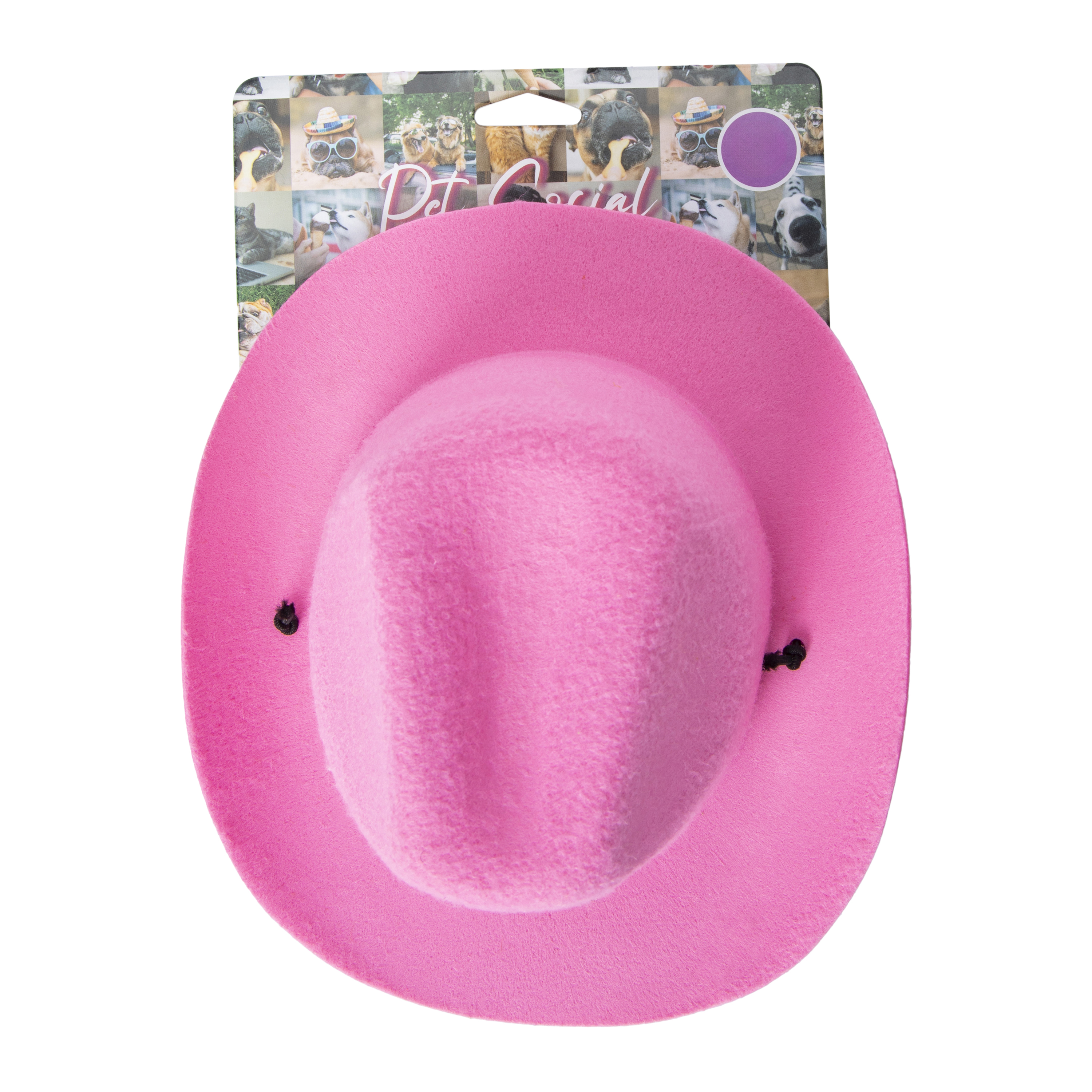 Pet Hat