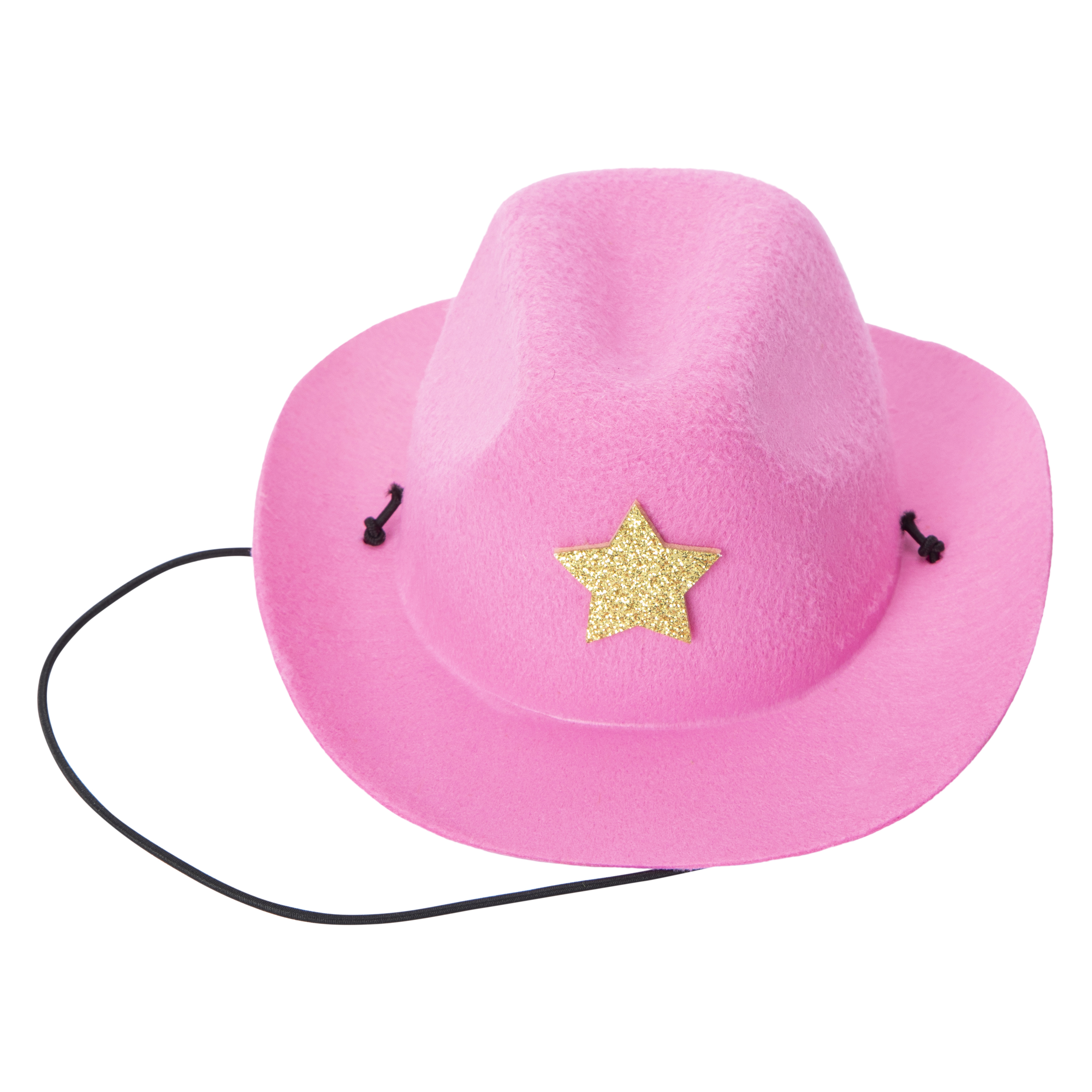 Pet Hat