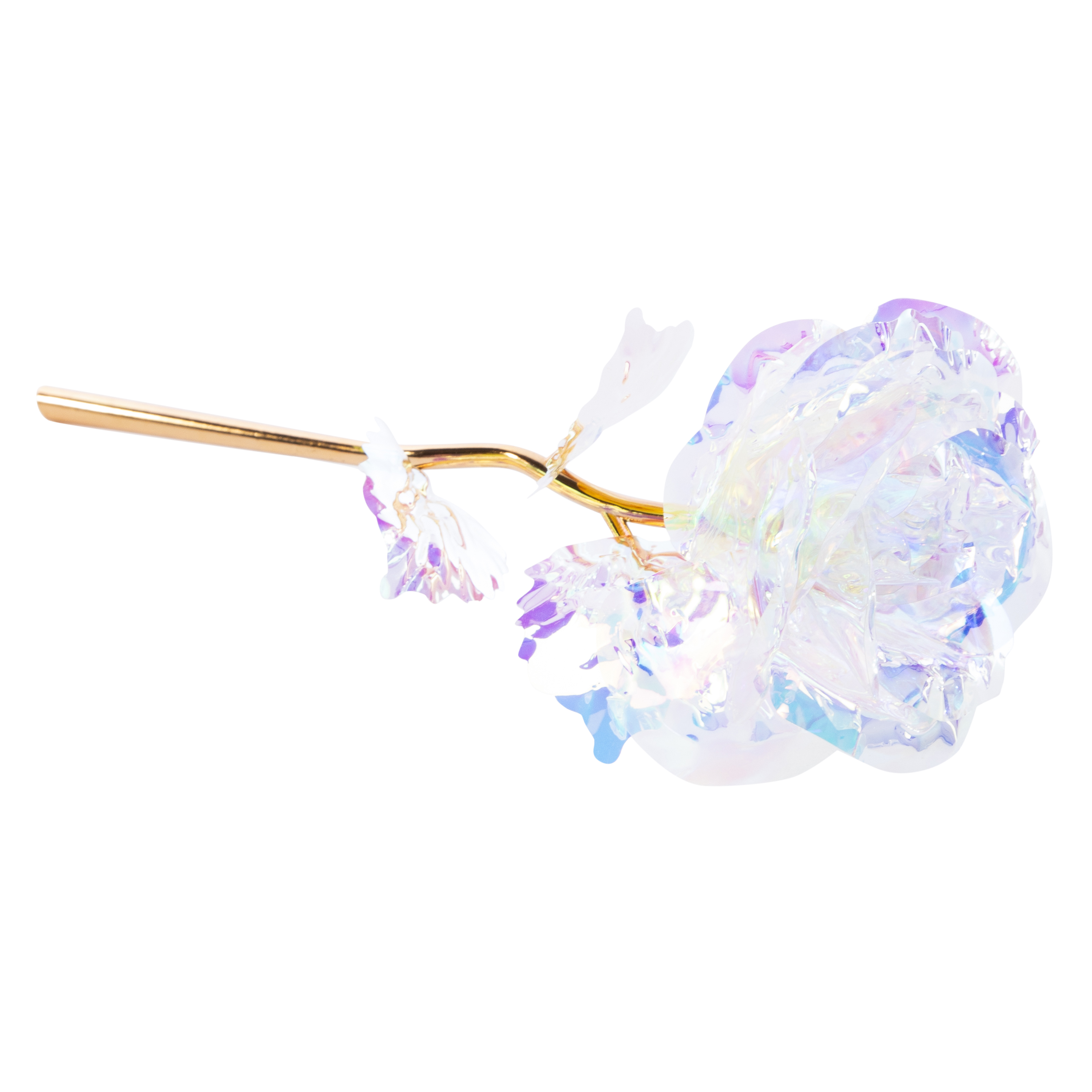 Holographic Rose