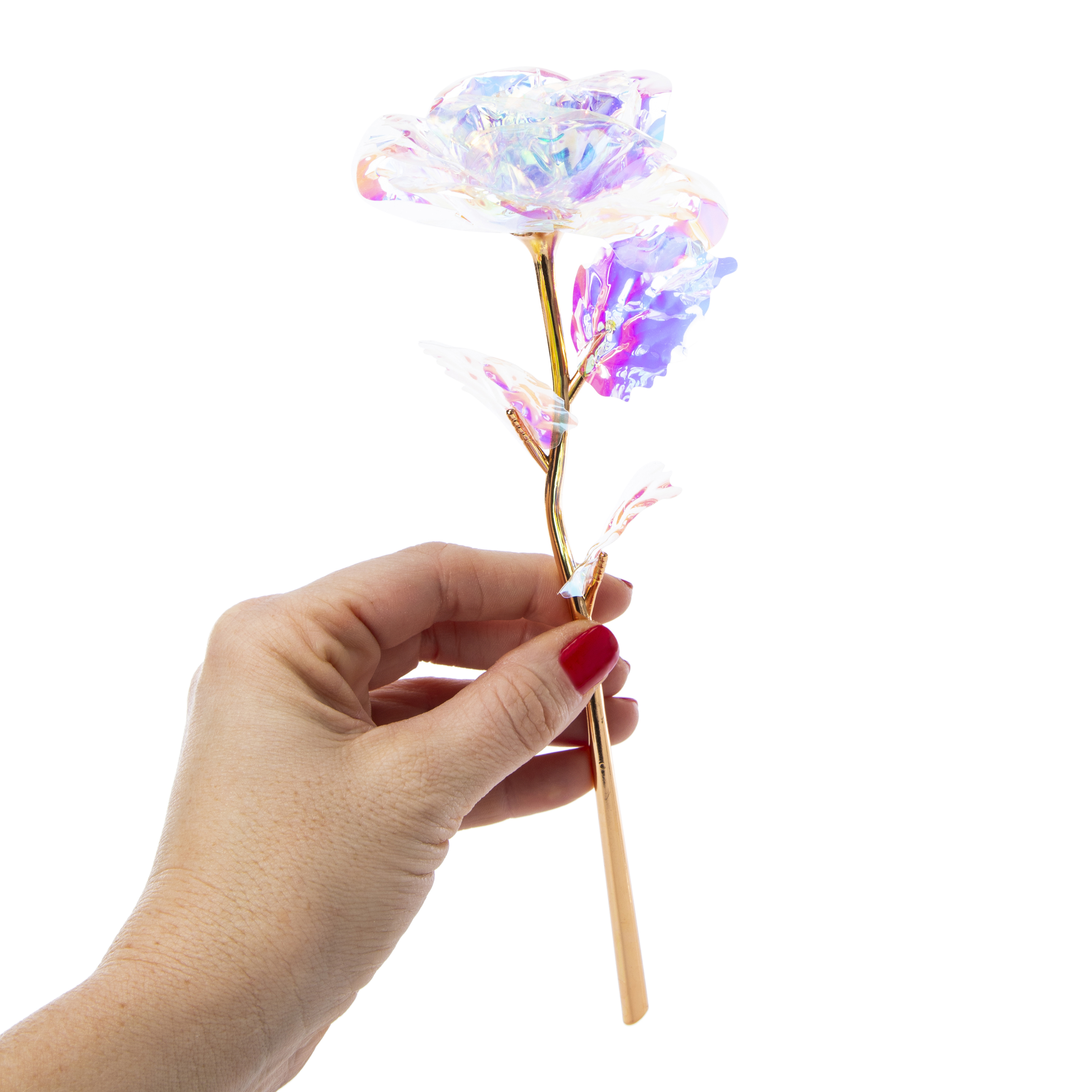 Holographic Rose