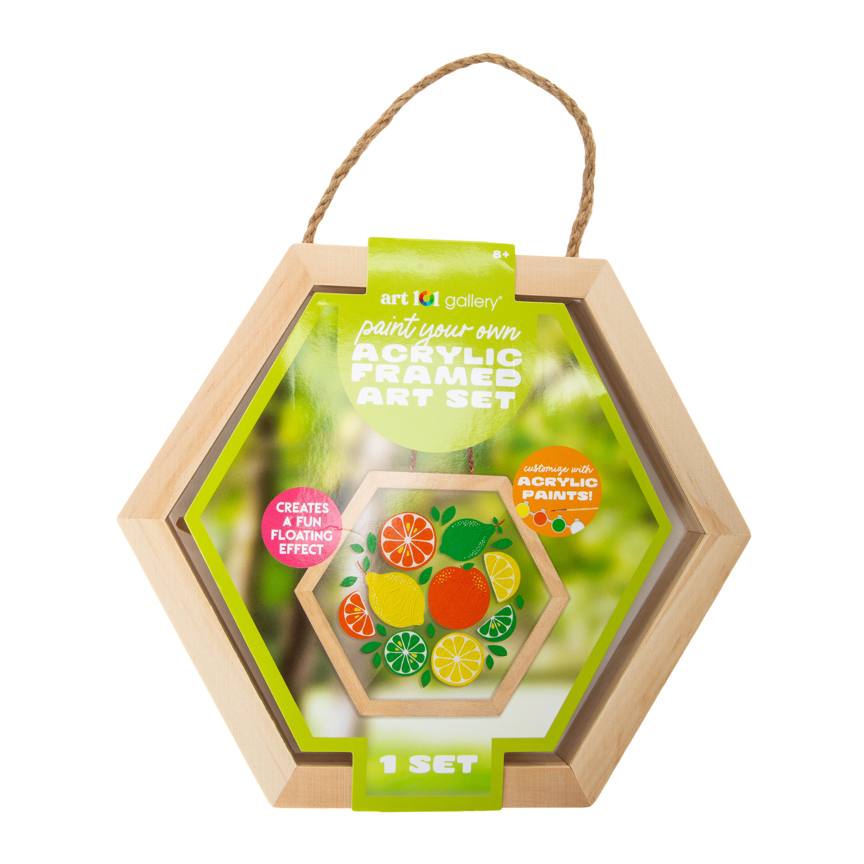 Art 101 Gallery® Paint Your Own Acrylic Framed Set