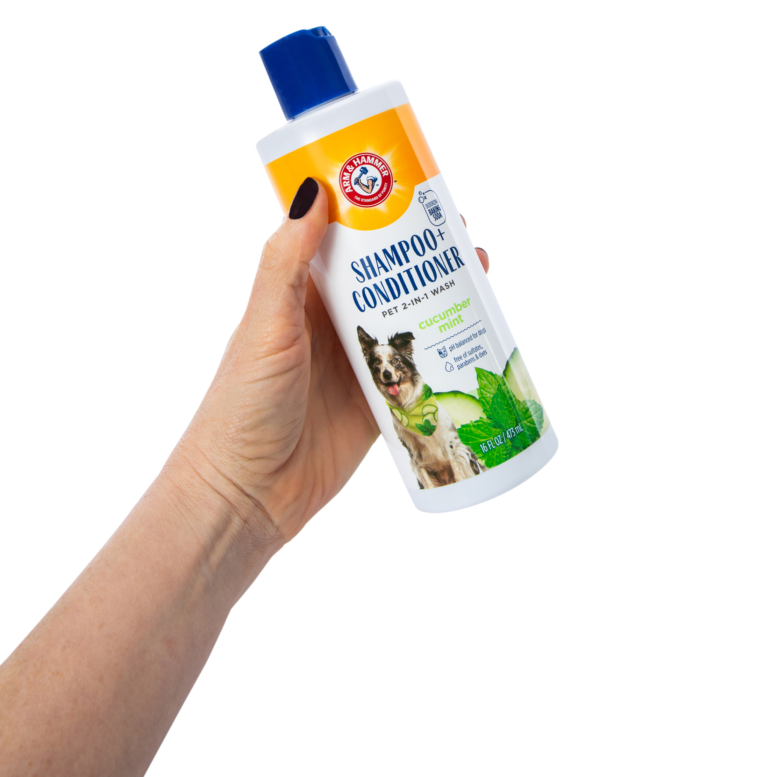 Arm & Hammer™ Shampoo & Conditioner Pet 2-In-1 Wash 16oz - Cucumber Mint