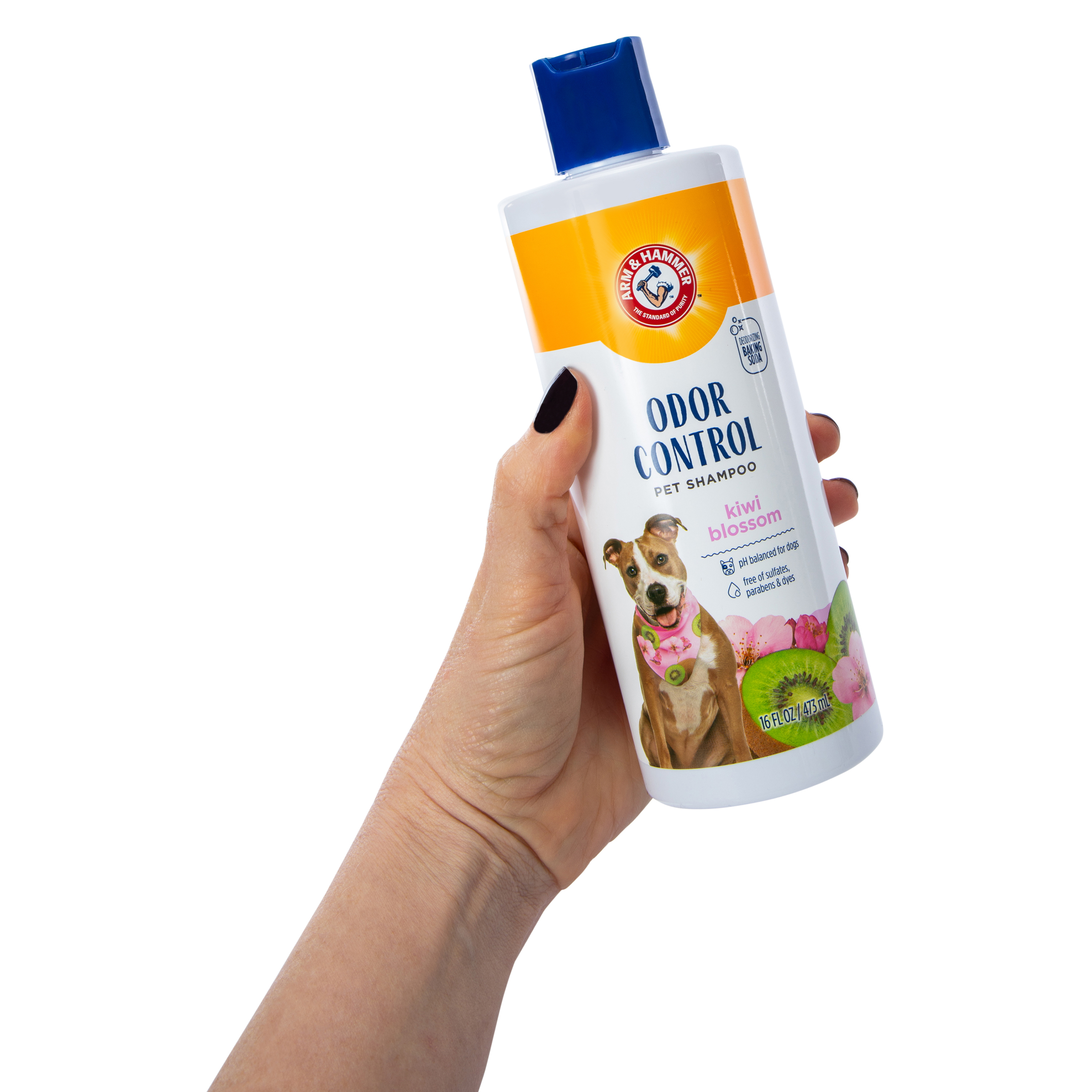 Arm & Hammer™ Odor Control Pet Shampoo 16oz - Kiwi Blossom