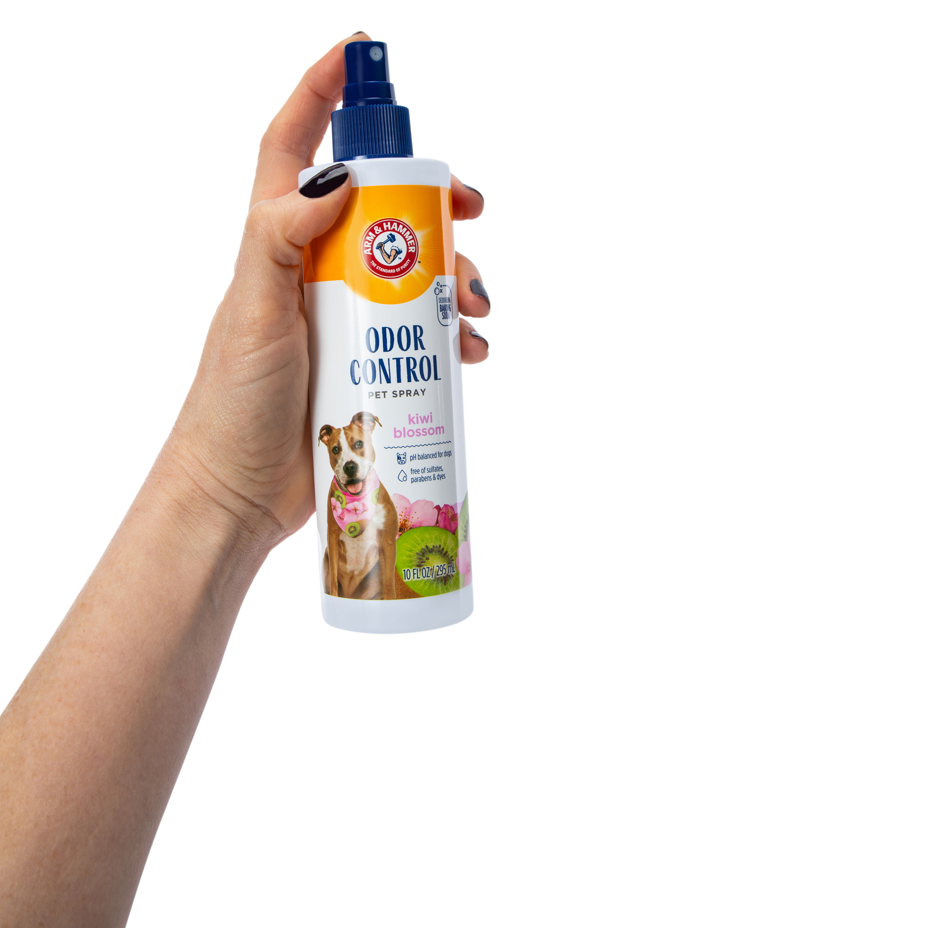 Arm & Hammer™ Odor Control Pet Spray 10oz - Kiwi Blossom